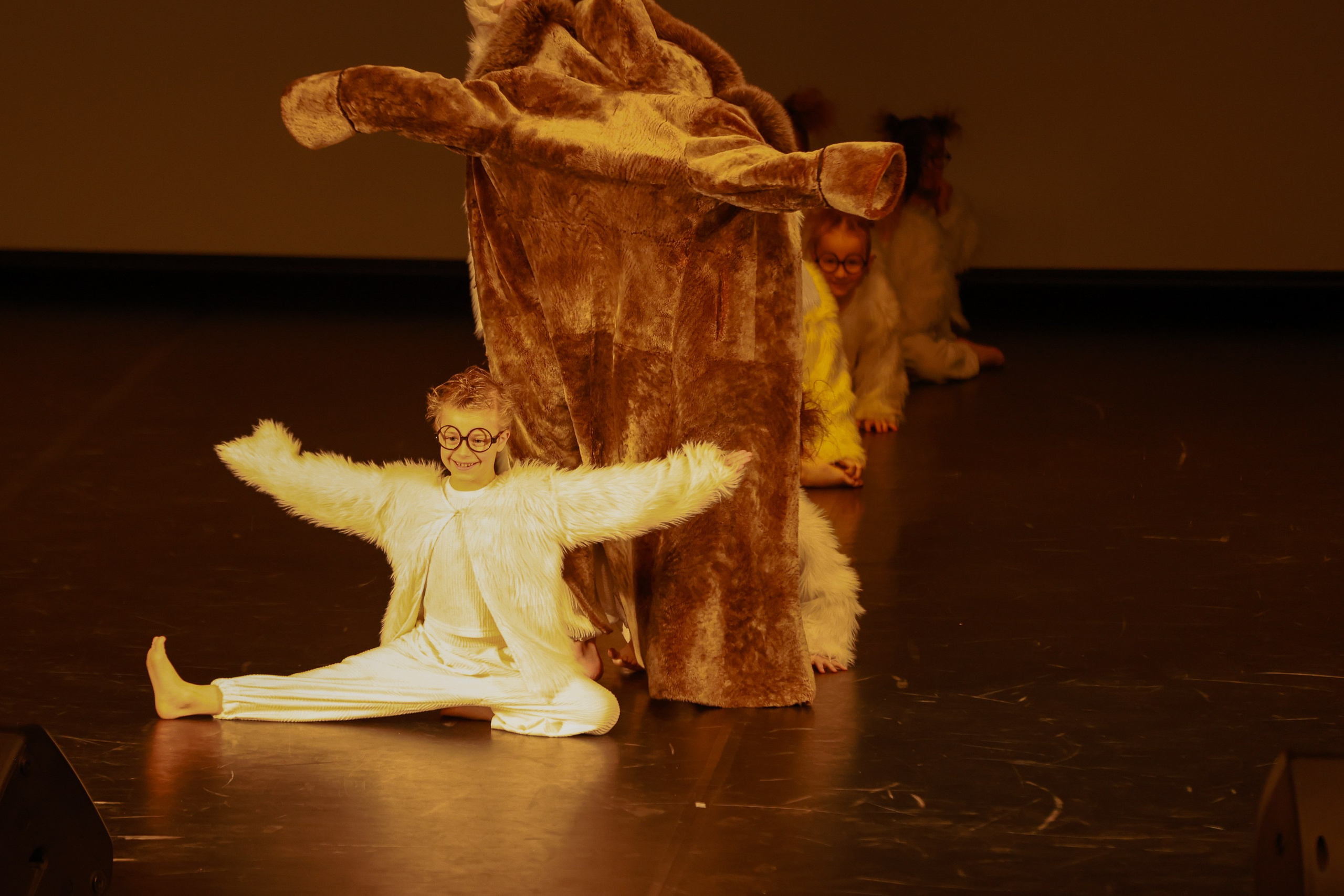 Небесные ласточки на Танц ЭКСПО 2026. Фотограф Юлия Мальцева