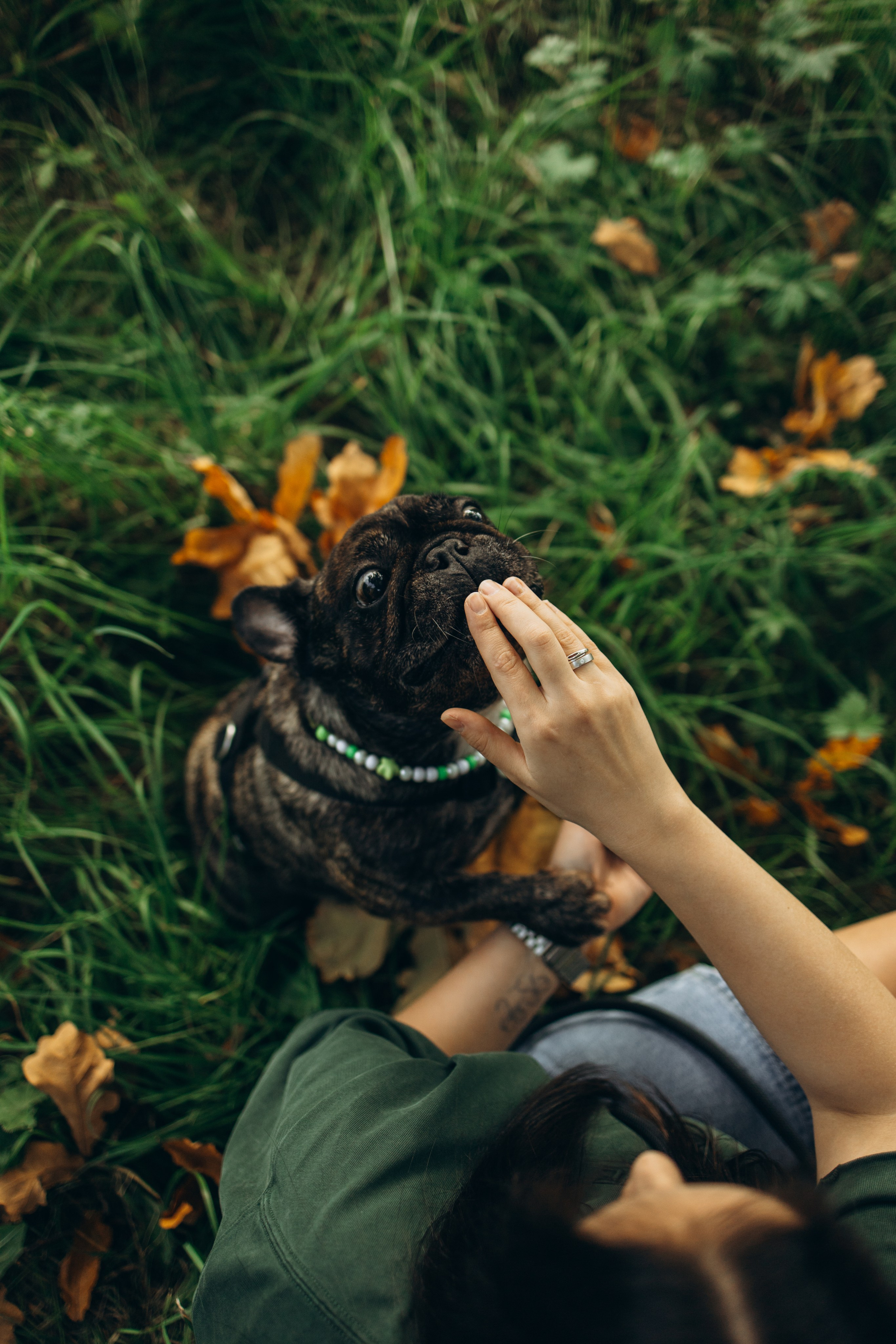 Олеся и Луи. Фотограф — Анималист | Санкт-Петербург