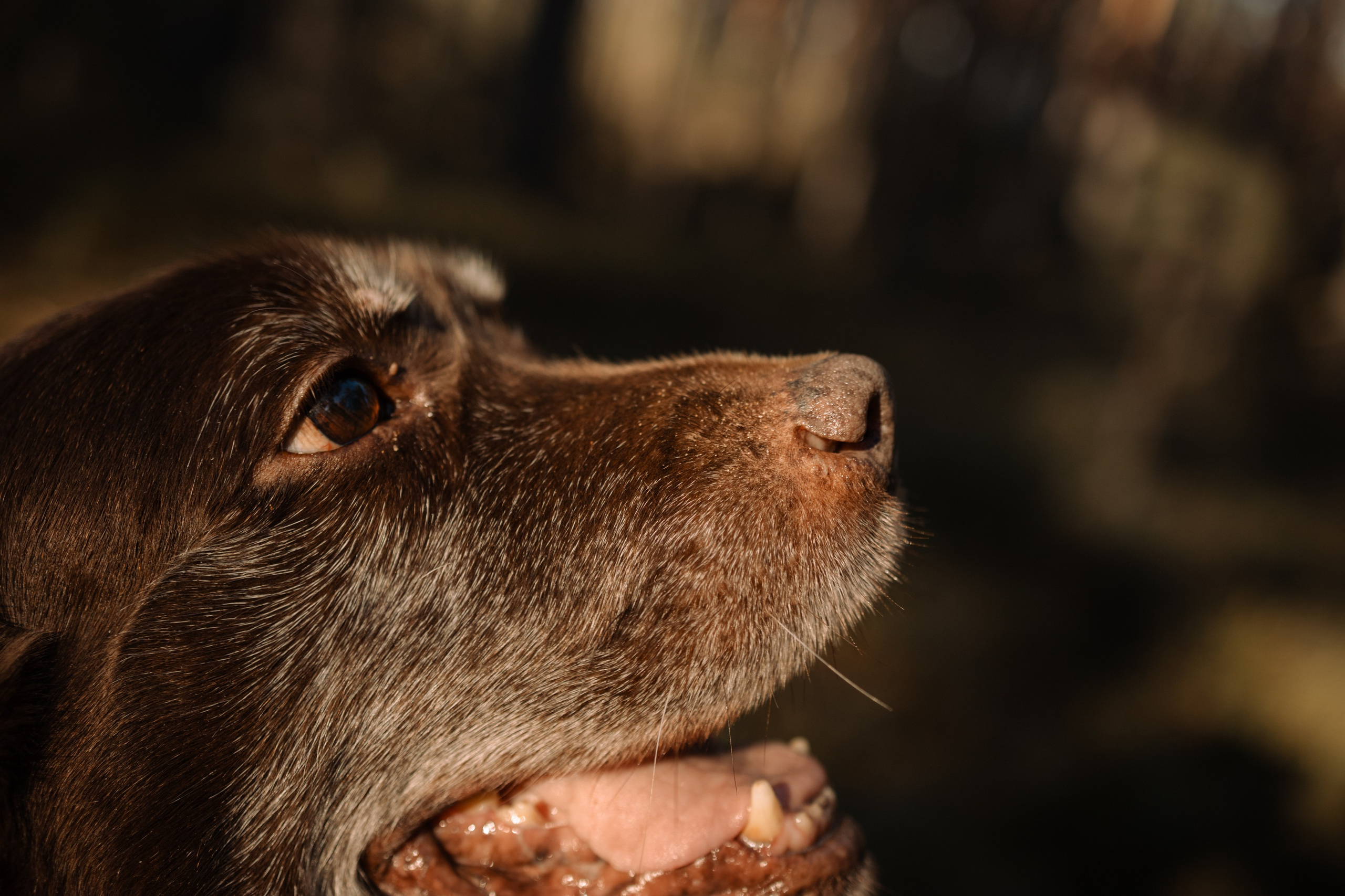 Оля и Питоня. Фотограф — Анималист | Санкт-Петербург