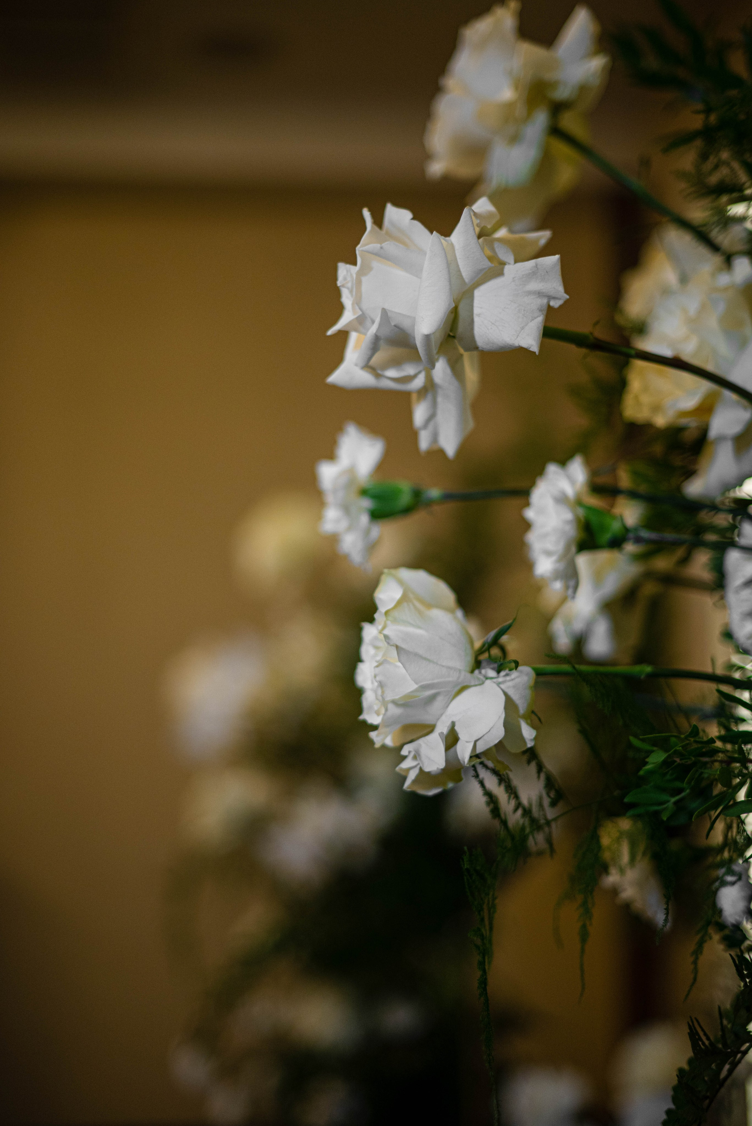 Мы нашли друг друга. Свадебный и семейный фотограф в Новосибирске, Санкт-Петербурге, Москве