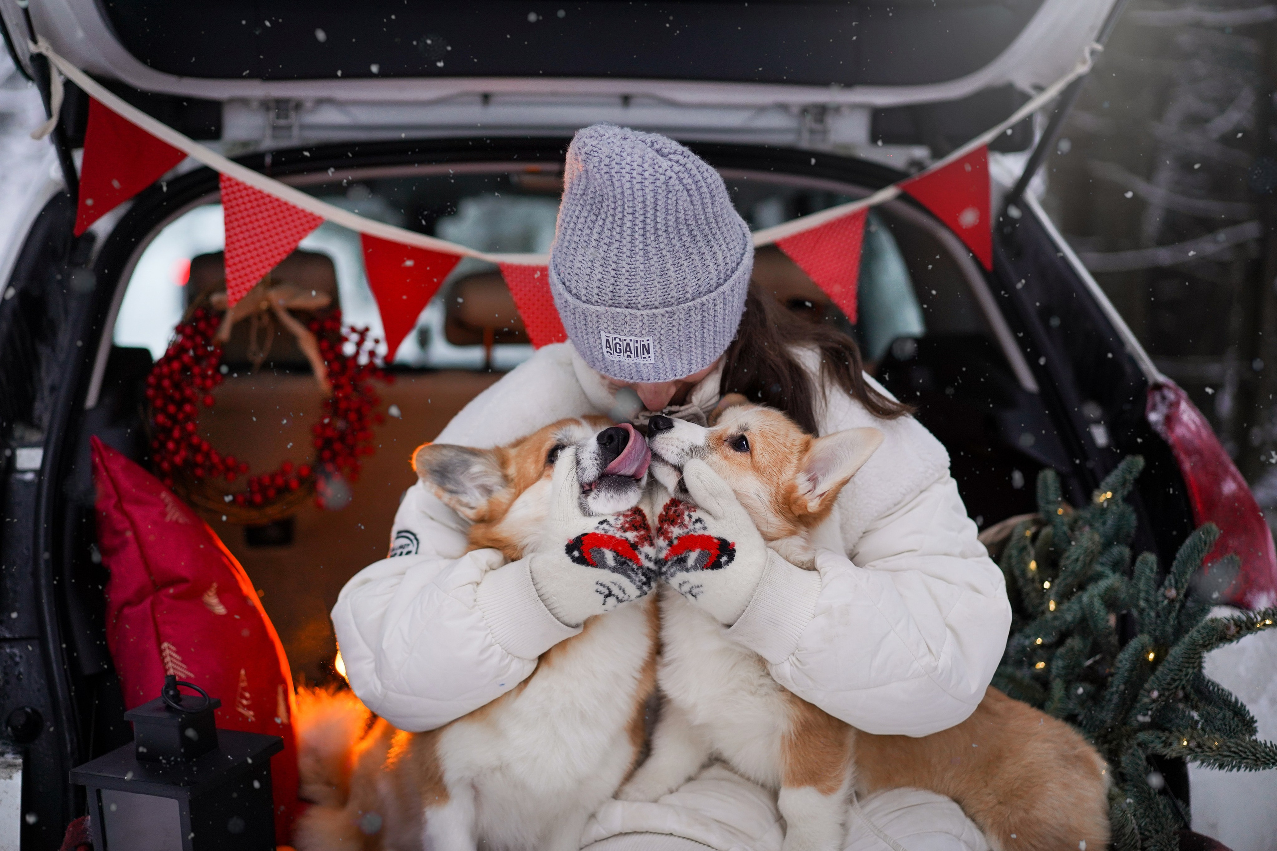 Катя Рокки и Честер. Фотограф-анималист в Санкт-Петербурге Яна Мартынова