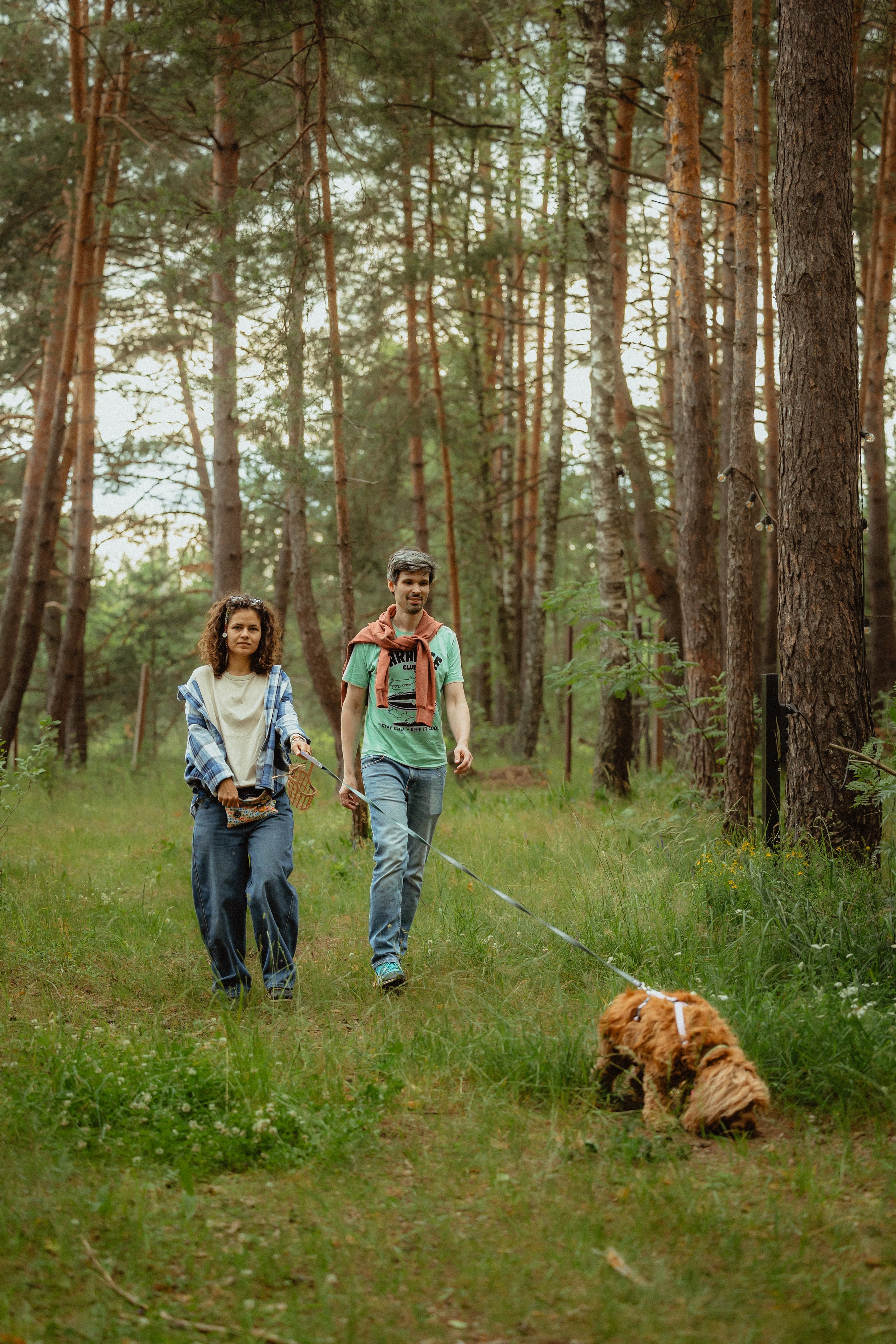 Выездной дог-тренинг от школы «Шерсть имею»