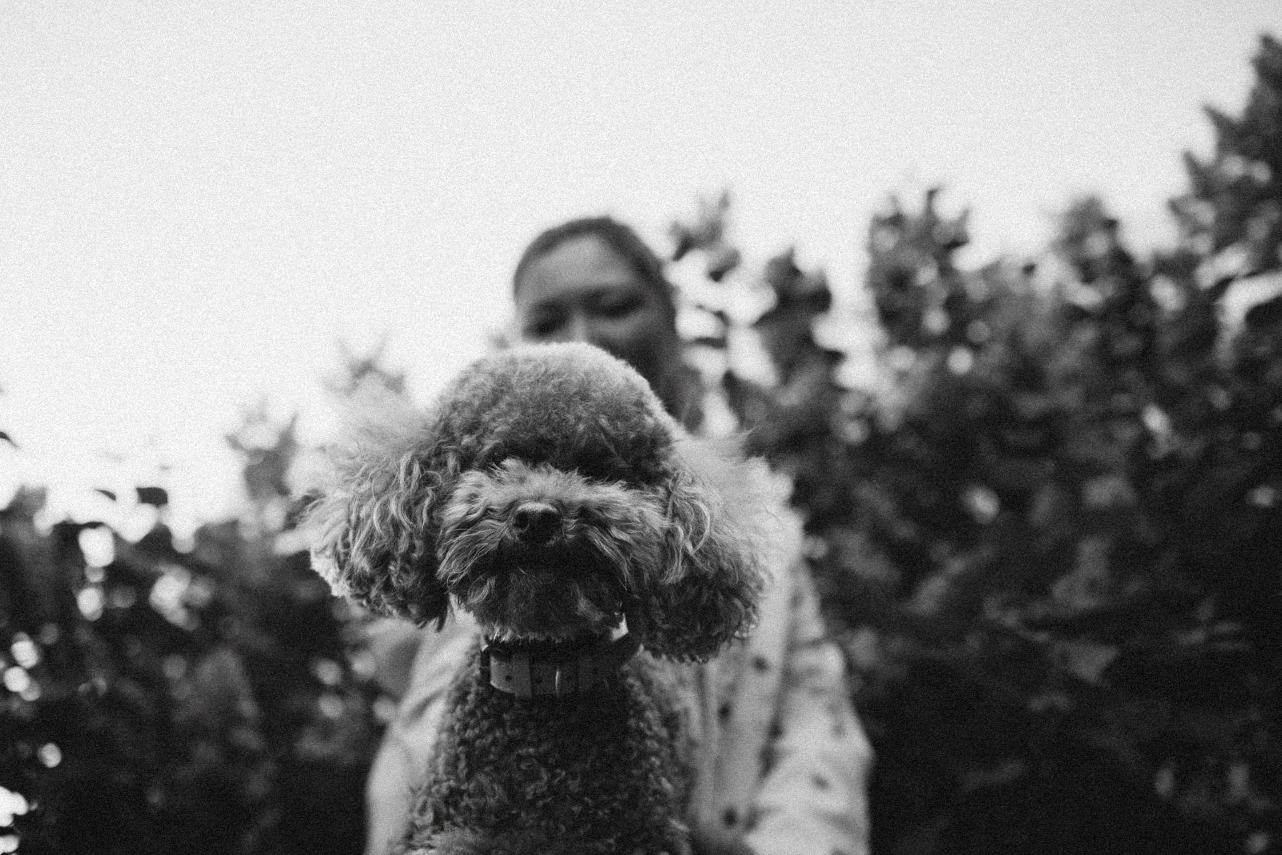 Марья и Буба