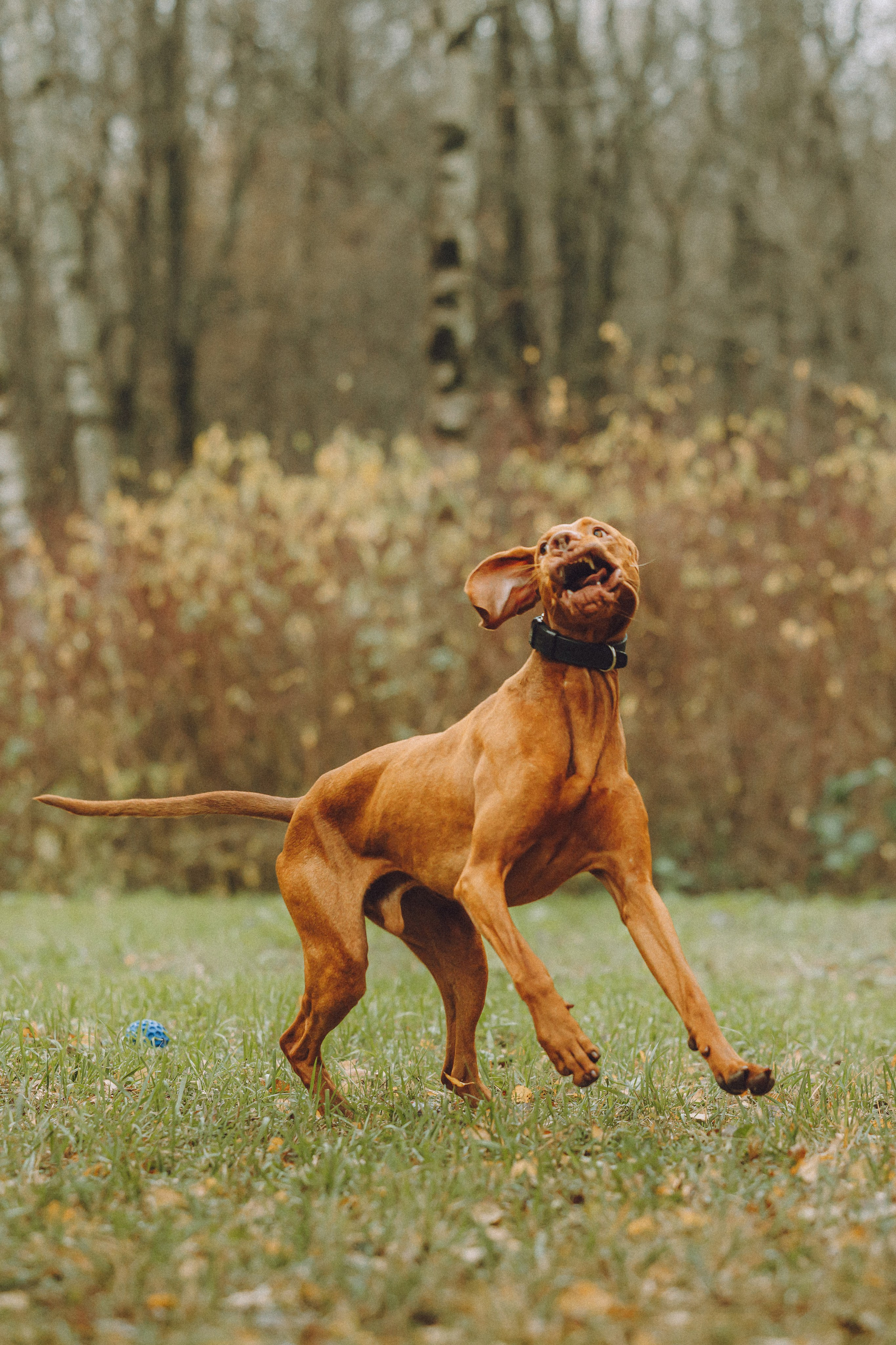 Дориан и его семья