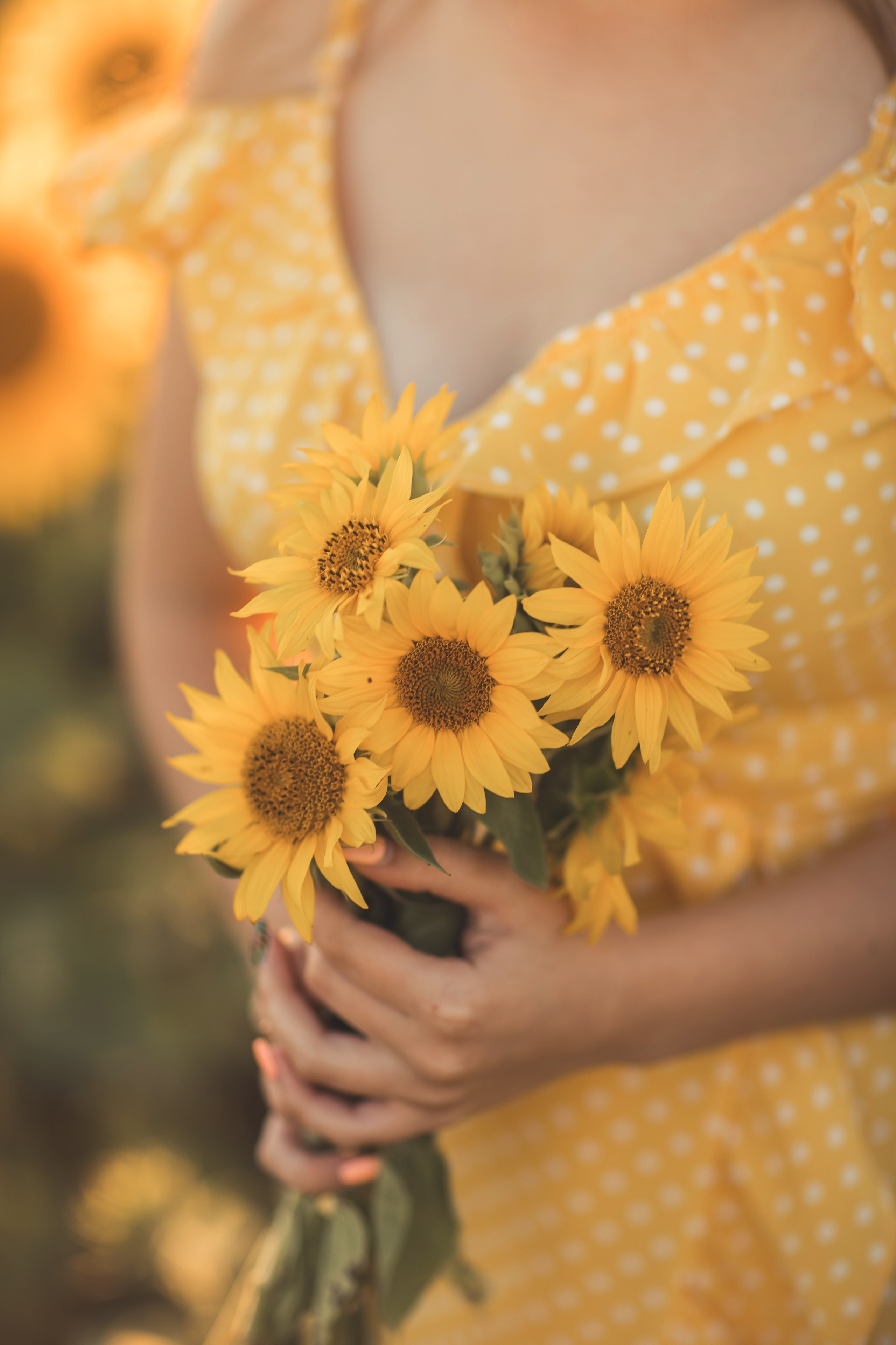 Подсолнухи. Семейный и детский фотограф Краснодар Валерия Власенко