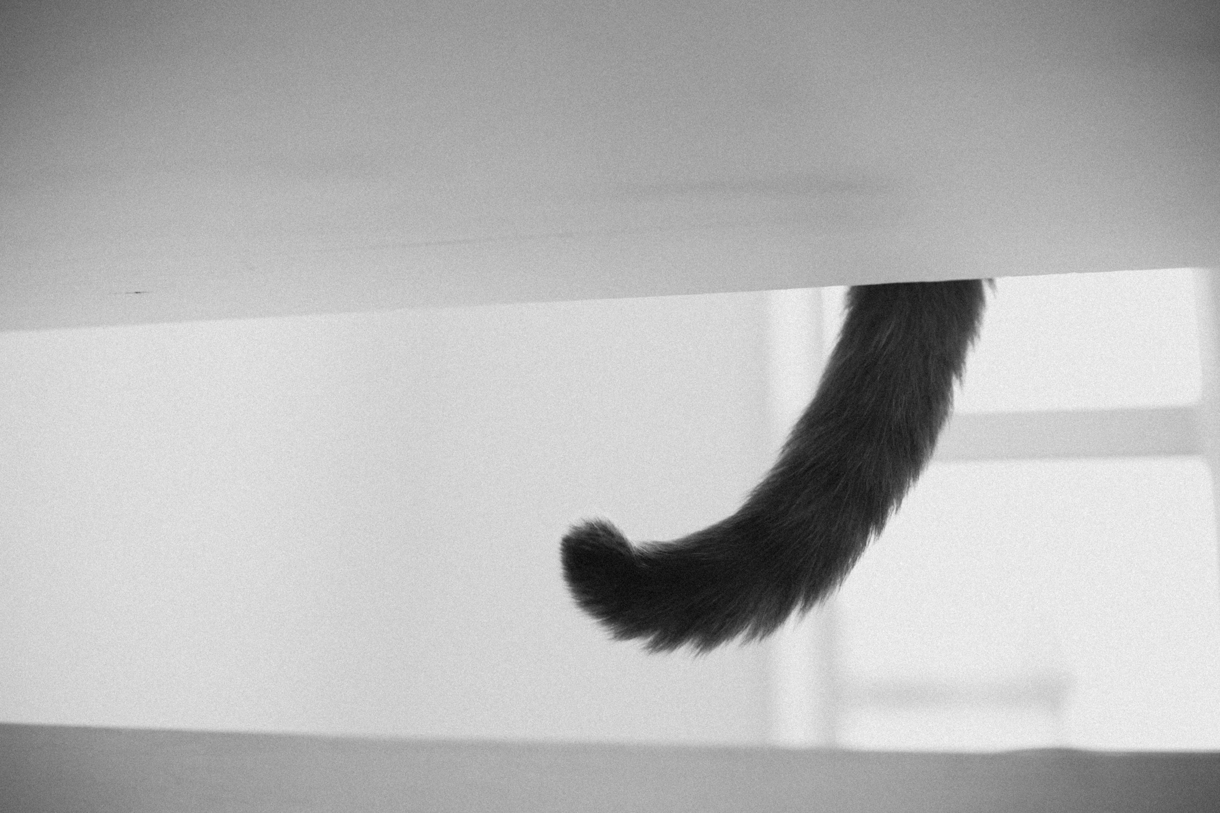 Ikonna. Свадебный фотограф в Ярославле Илья Жуков