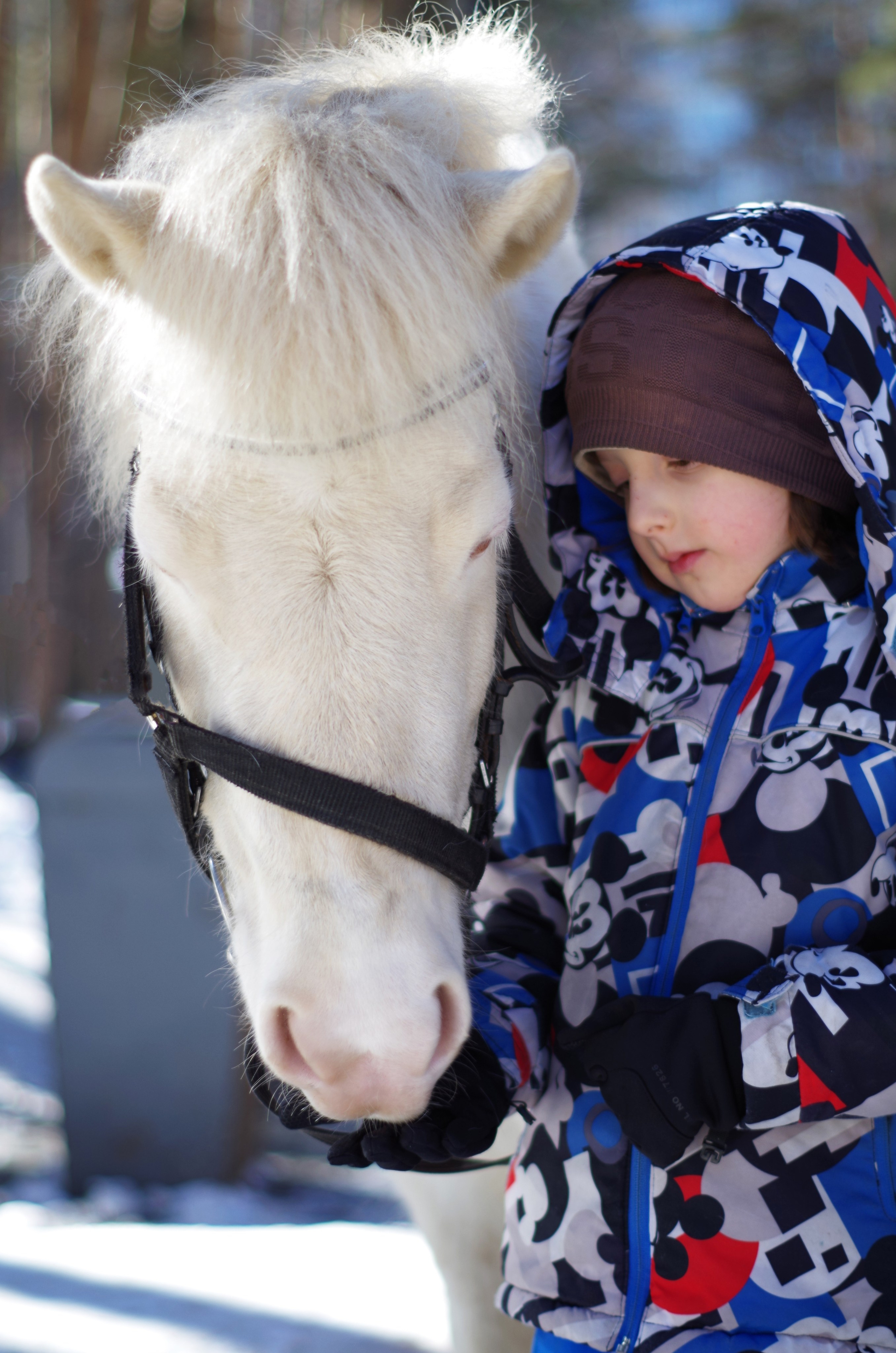 ДЕТИ & ЛОШАДИ. Фотограф Марина Доглядная Челябинск фотосессии с лошадьми, мотоциклами