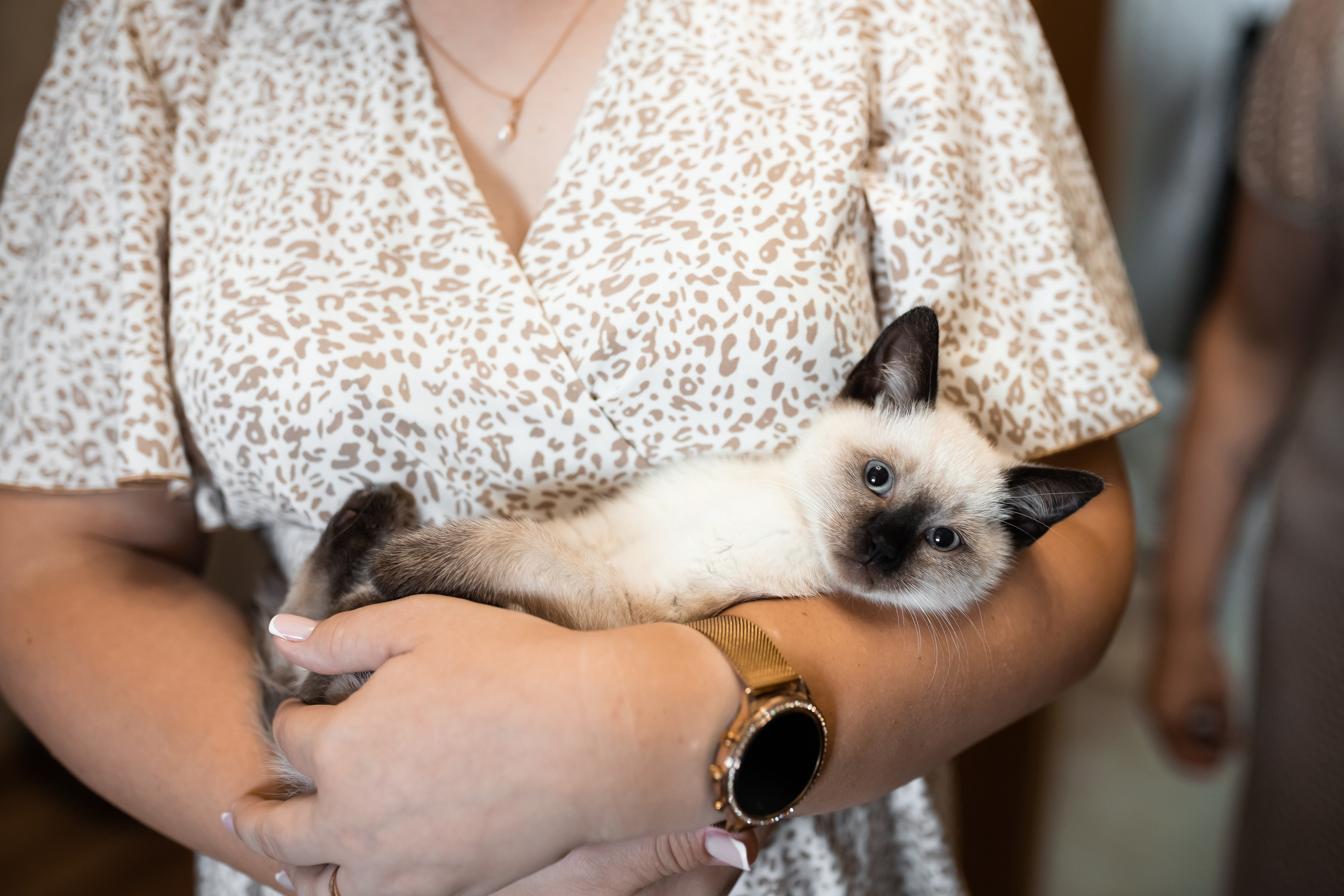 Наталья и Данила 24.08.24. Свадебный фотограф Татьяна Фот