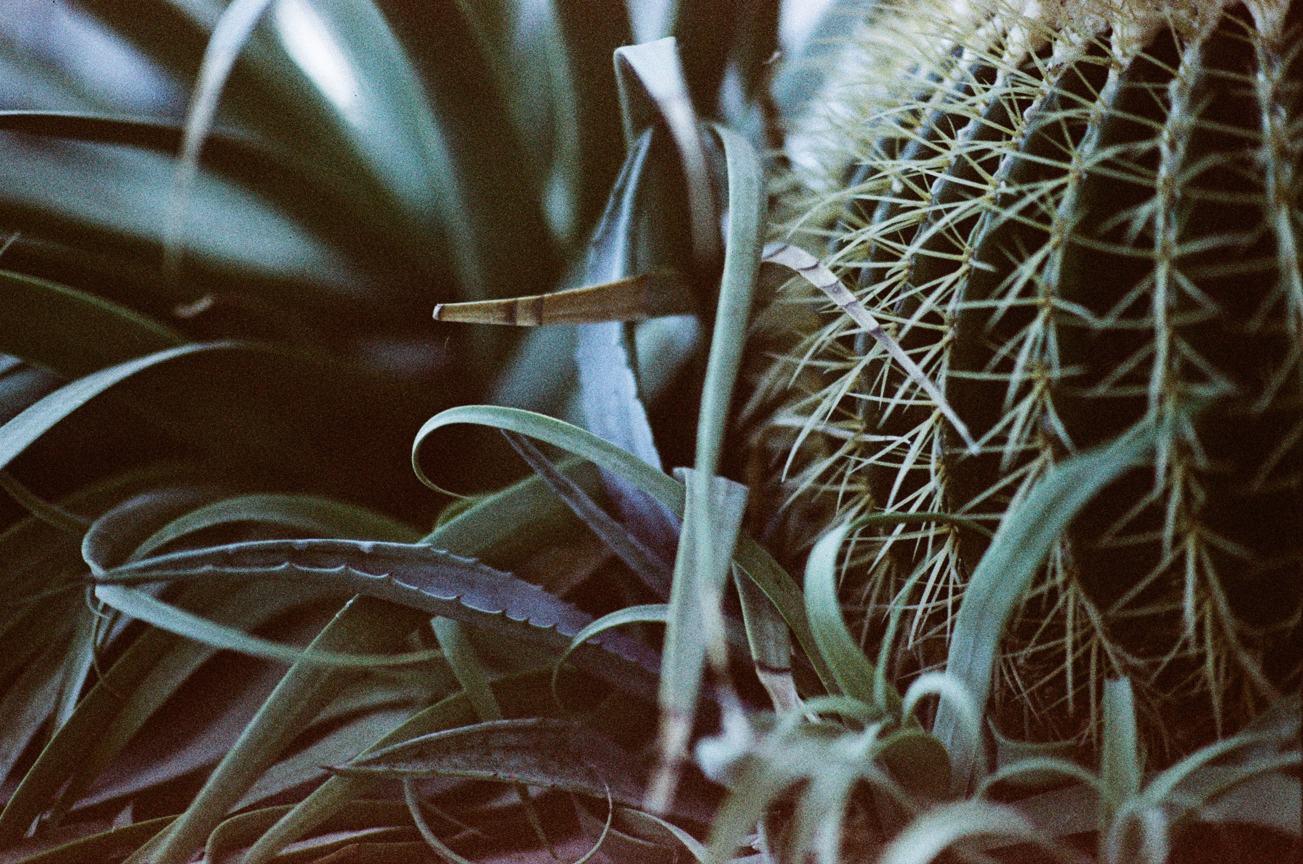 Pain shopping // ukraine, crimea. EVER EXPOSED