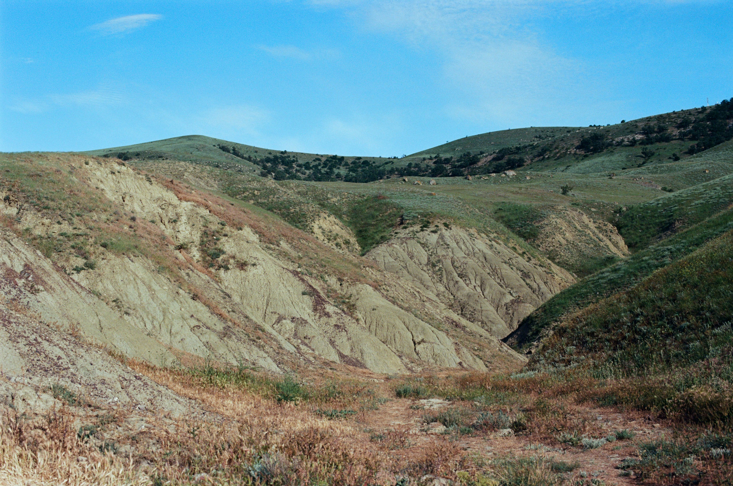 Kool-aid // ukraine, crimea V. EVER EXPOSED