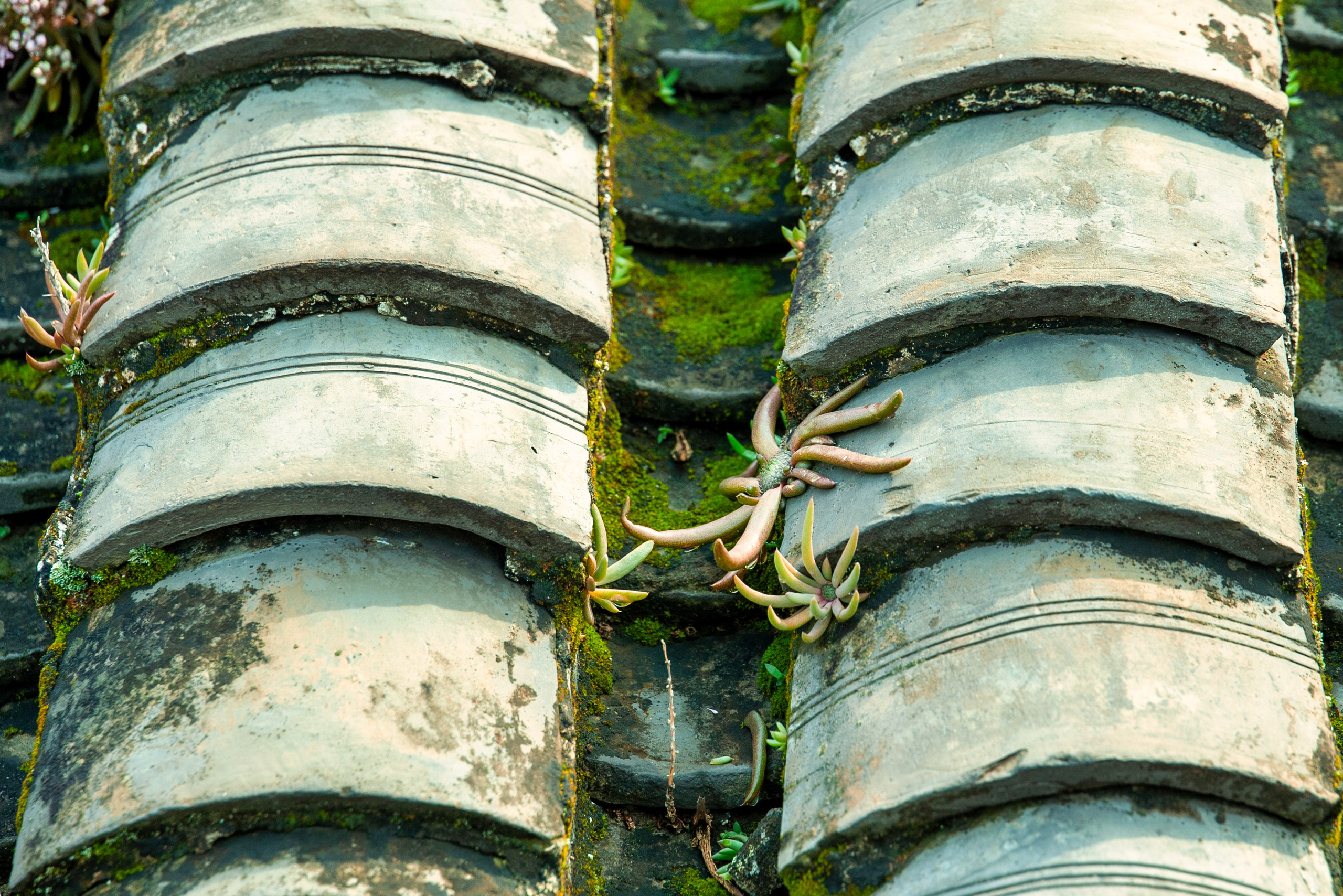 Весна. FotoGraf