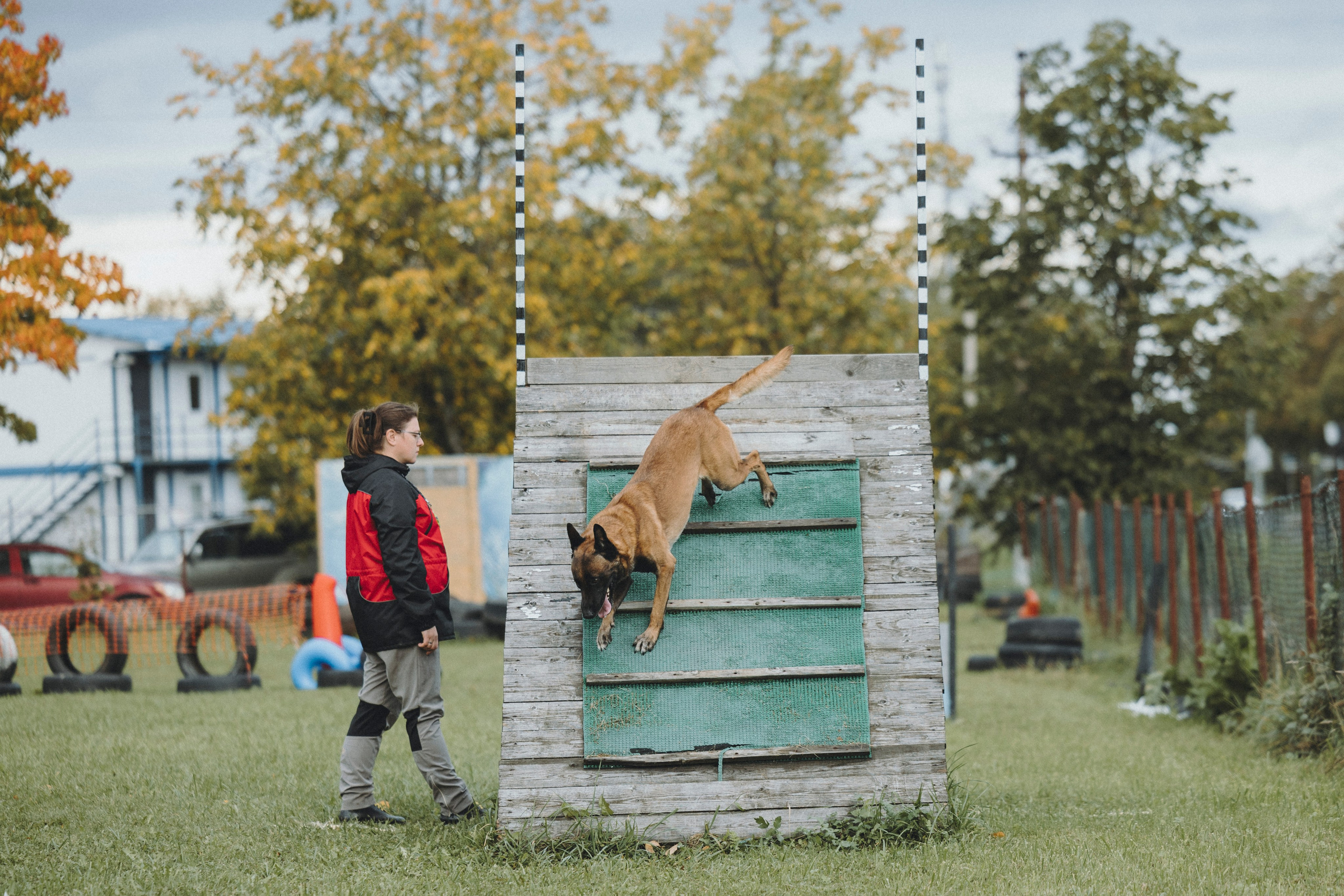 Испытания по мондьорингу г. Пушкин 29.09.2024. Фотограф-анималист Анна Маринич