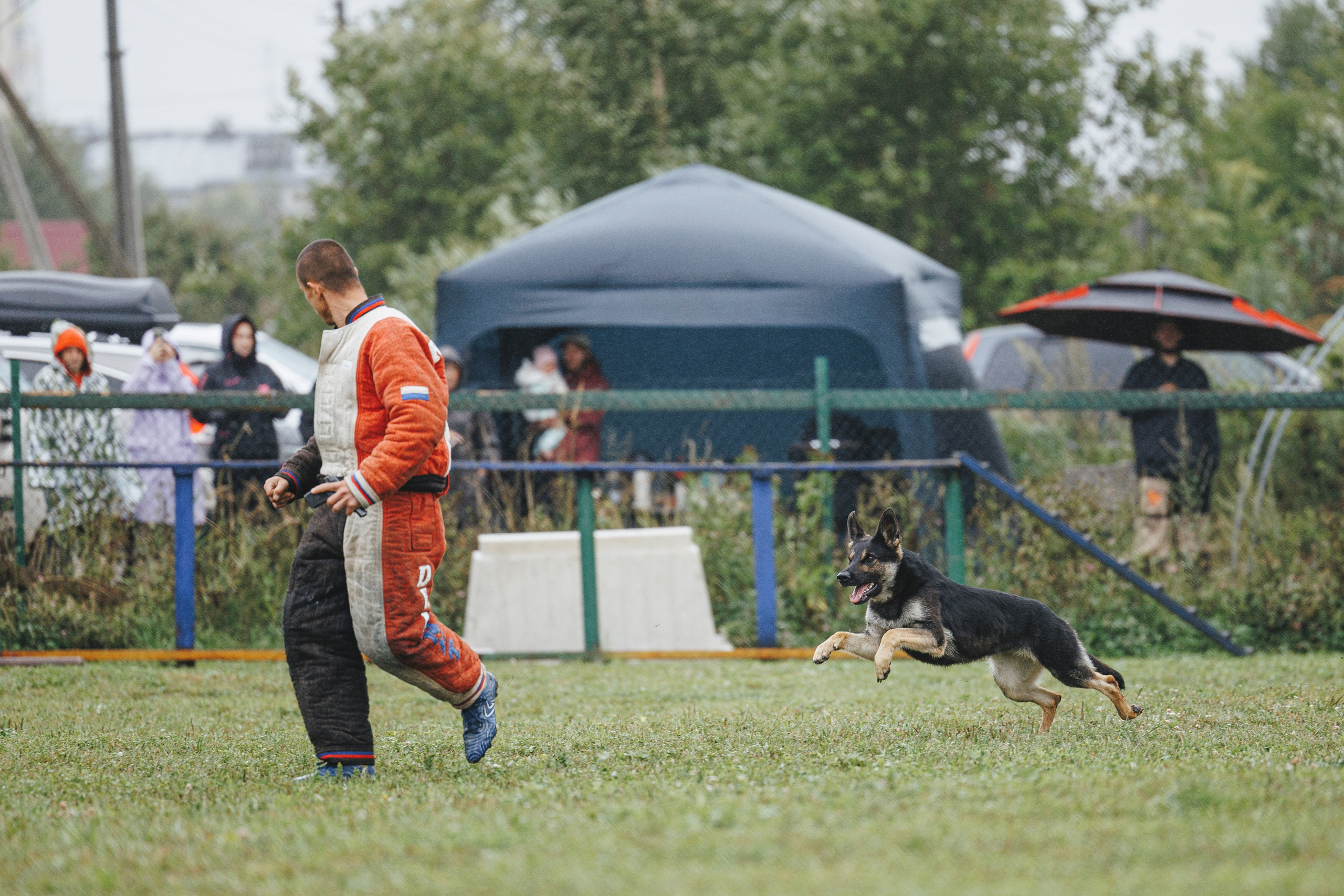 08.08.25-10.08.25 ЧР по мондьорингу г. Вологда. Фотограф-анималист Анна Маринич