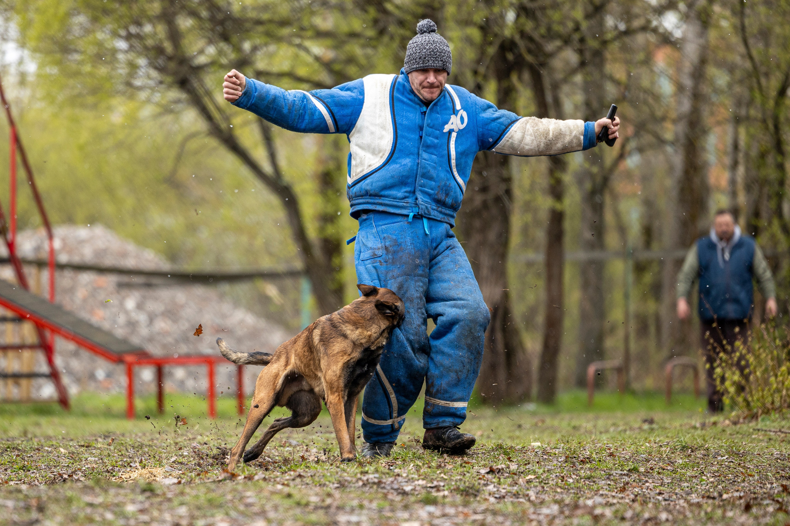 Квалификационные состязания по мондьорингу г. Вологда 11.05.24. Фотограф-анималист Анна Маринич