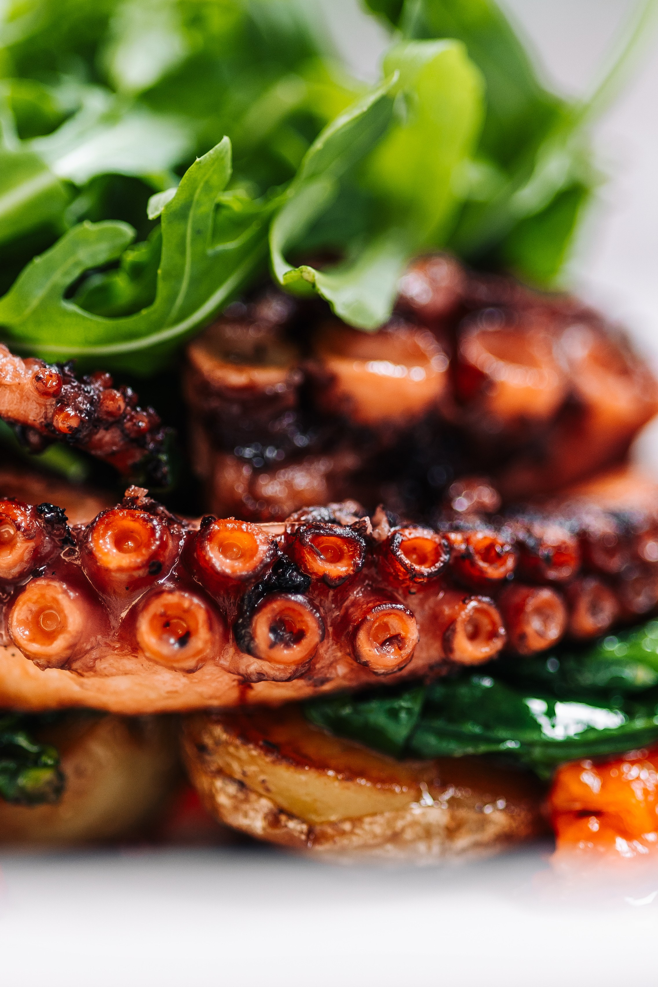 Food съемка. Фотограф Анапа. Екатерина Gladysha