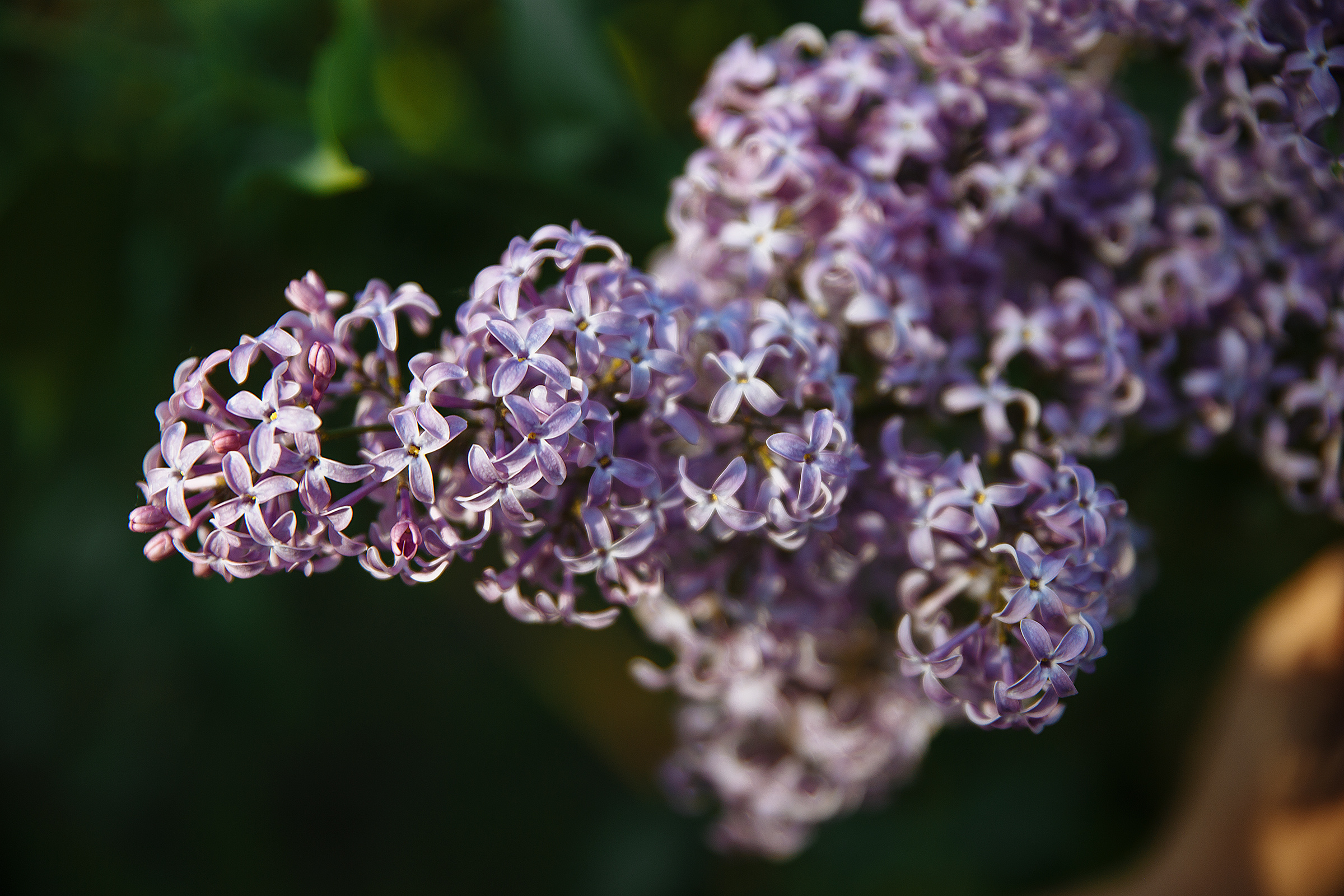 Инга и Леша. Свадебный фотограф в Самаре и Тольятти Полина Никитина