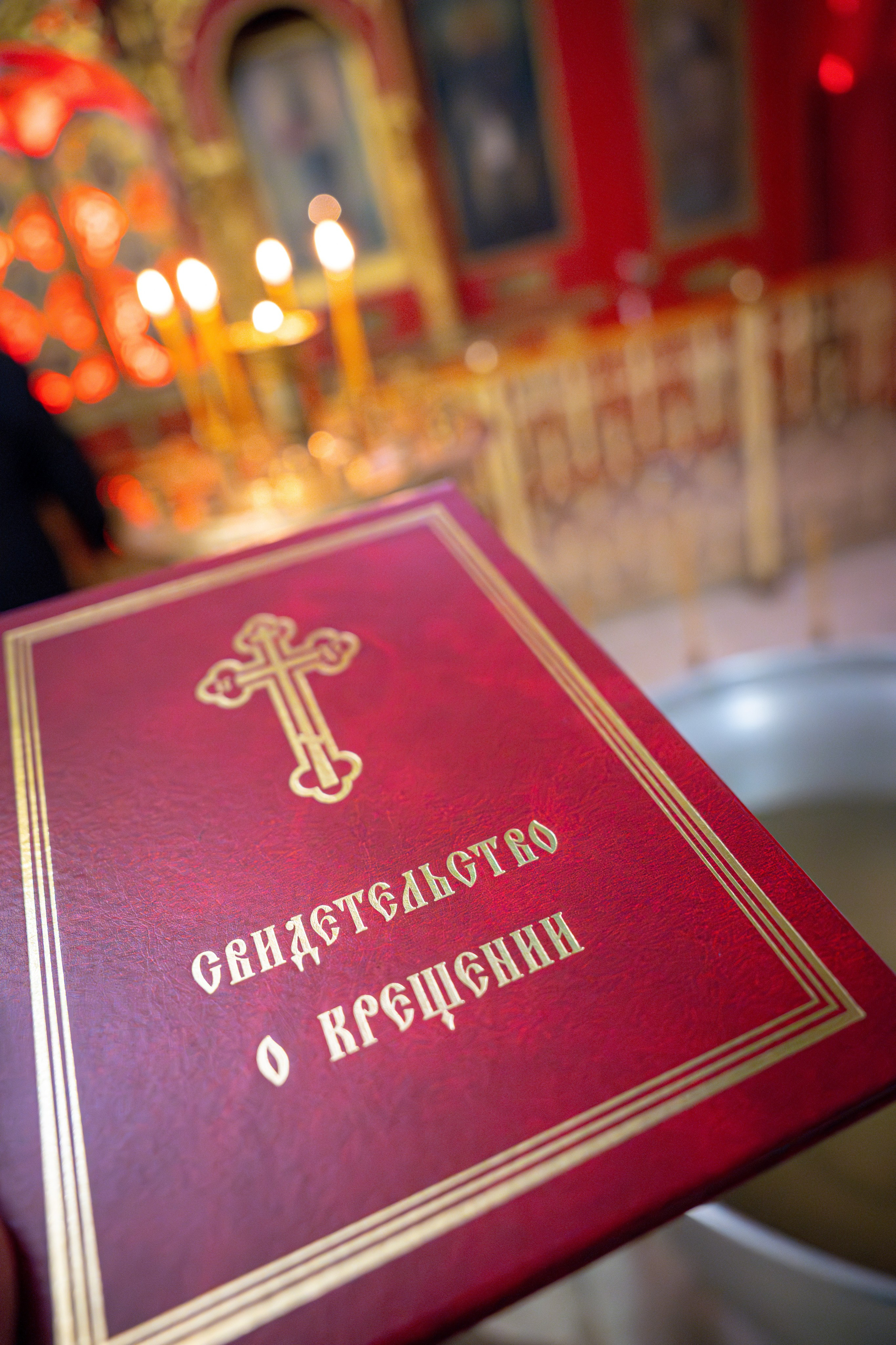 Семейные мероприятия. Чинёнов Антон