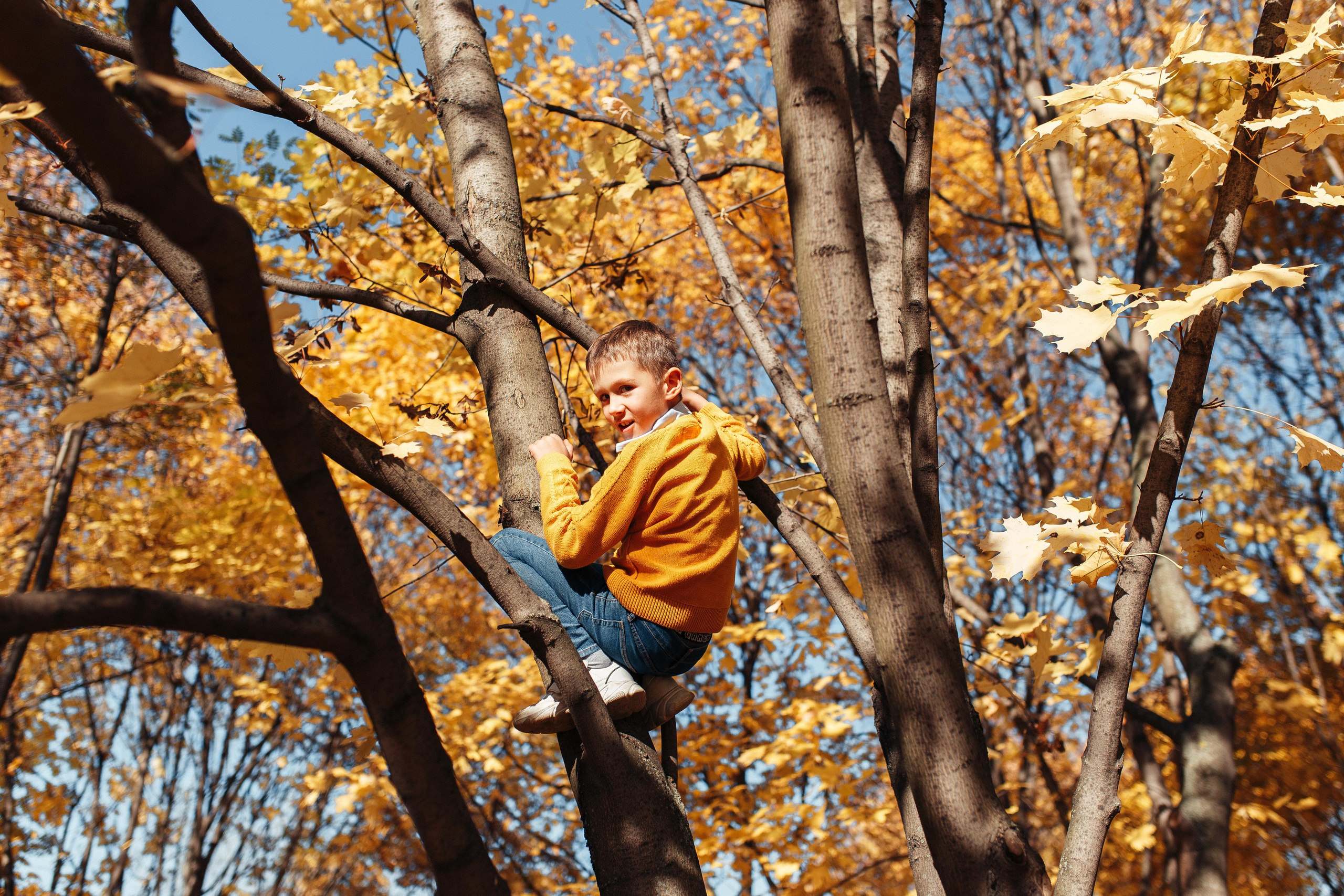 Листопад. Семейный фотограф в Москве. Дарья Долгих