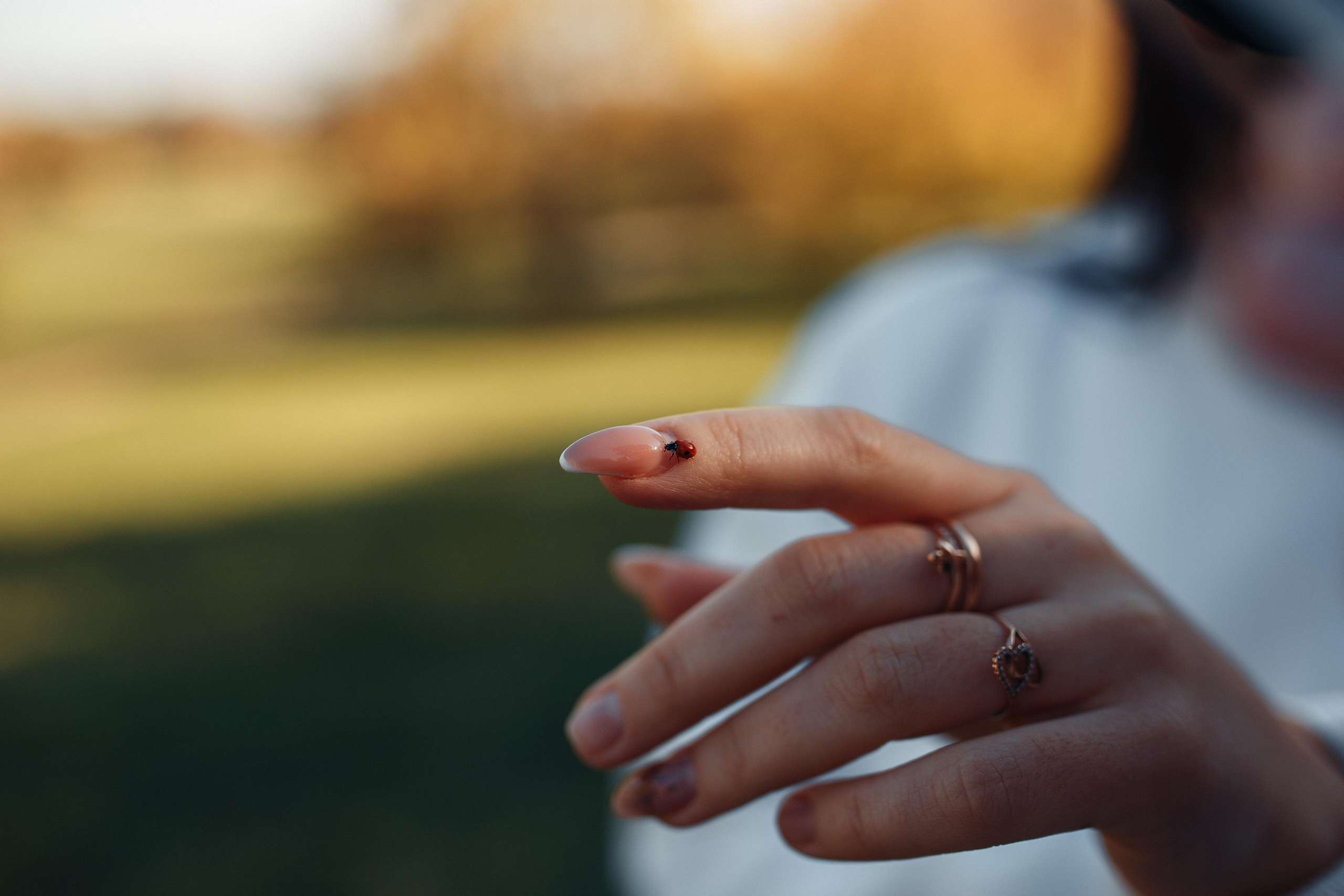 Листопад. Семейный фотограф в Москве. Дарья Долгих