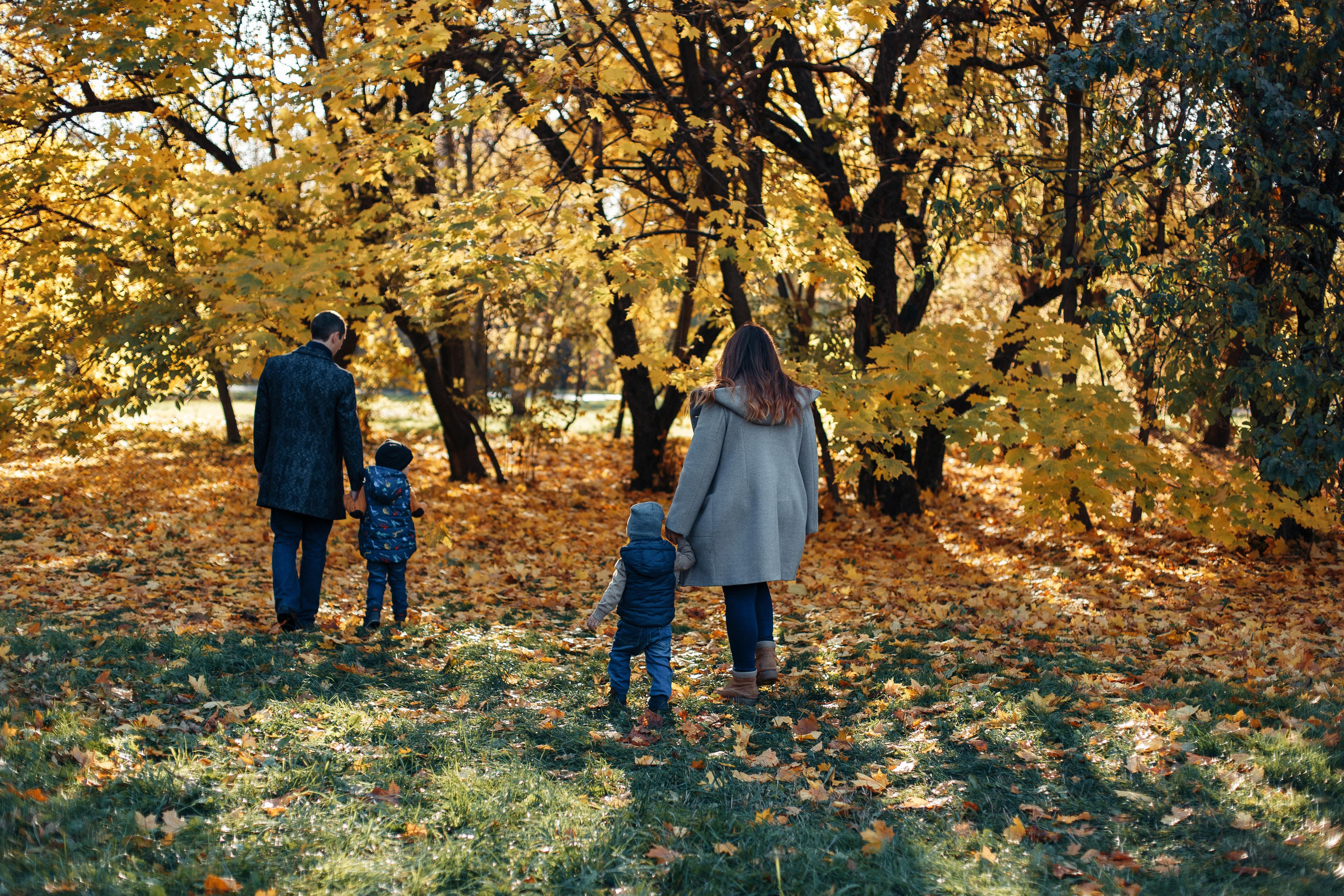 Осенняя прогулка. Семейный фотограф в Москве. Дарья Долгих