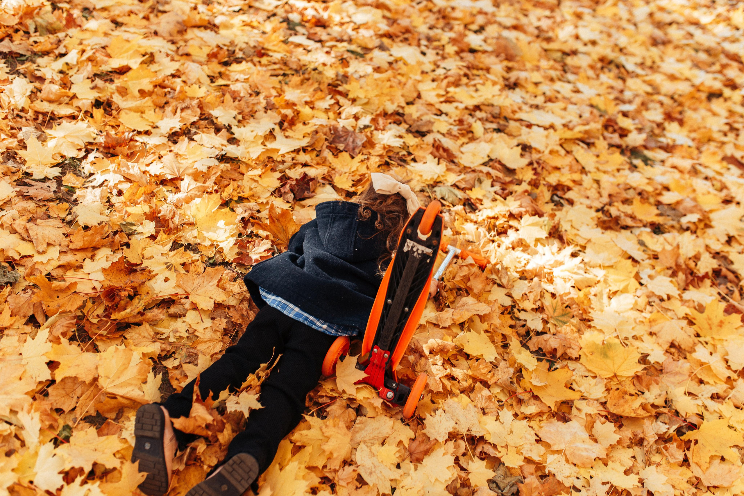 Листопад. Семейный фотограф в Москве. Дарья Долгих