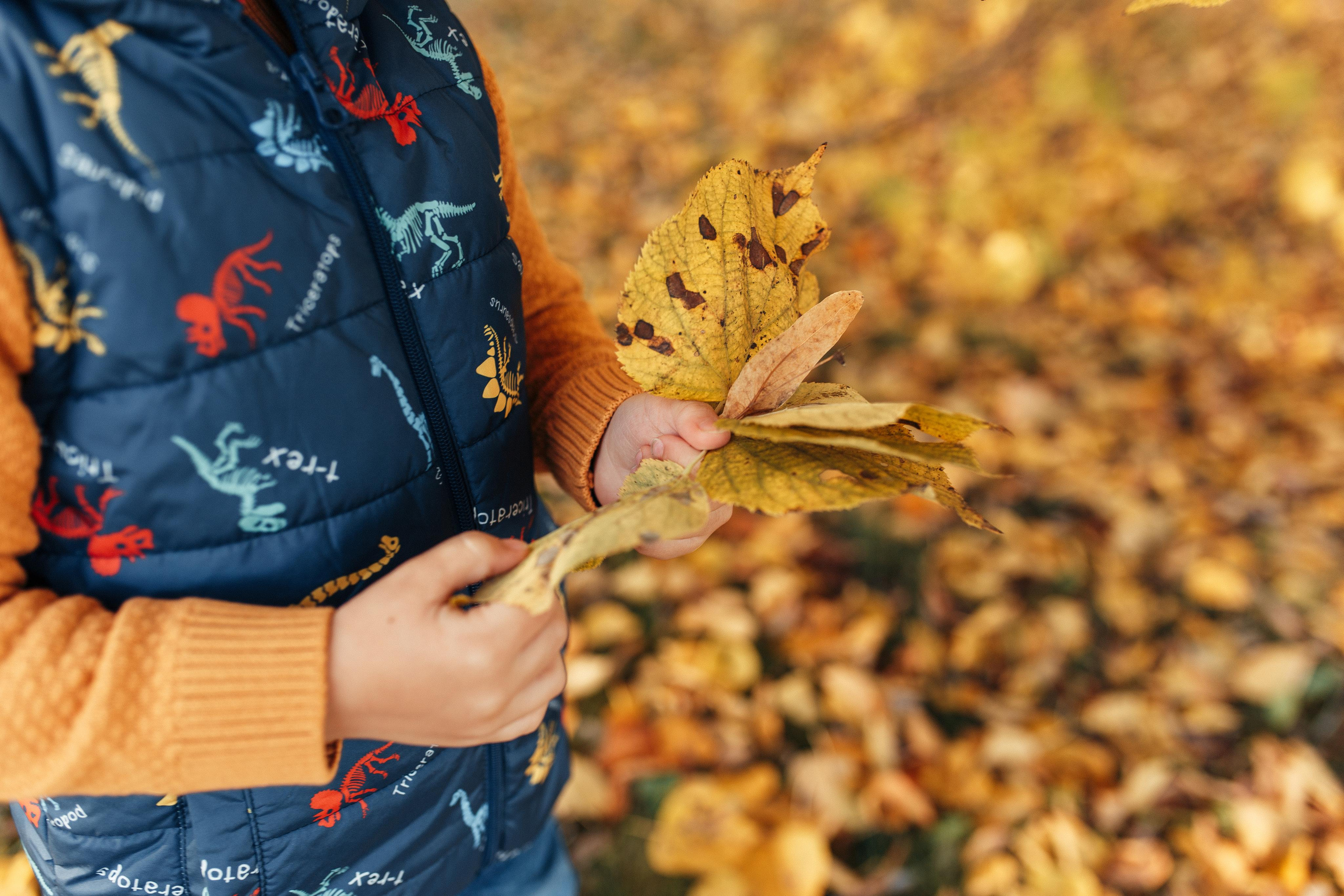 Осенняя прогулка. Семейный фотограф в Москве. Дарья Долгих