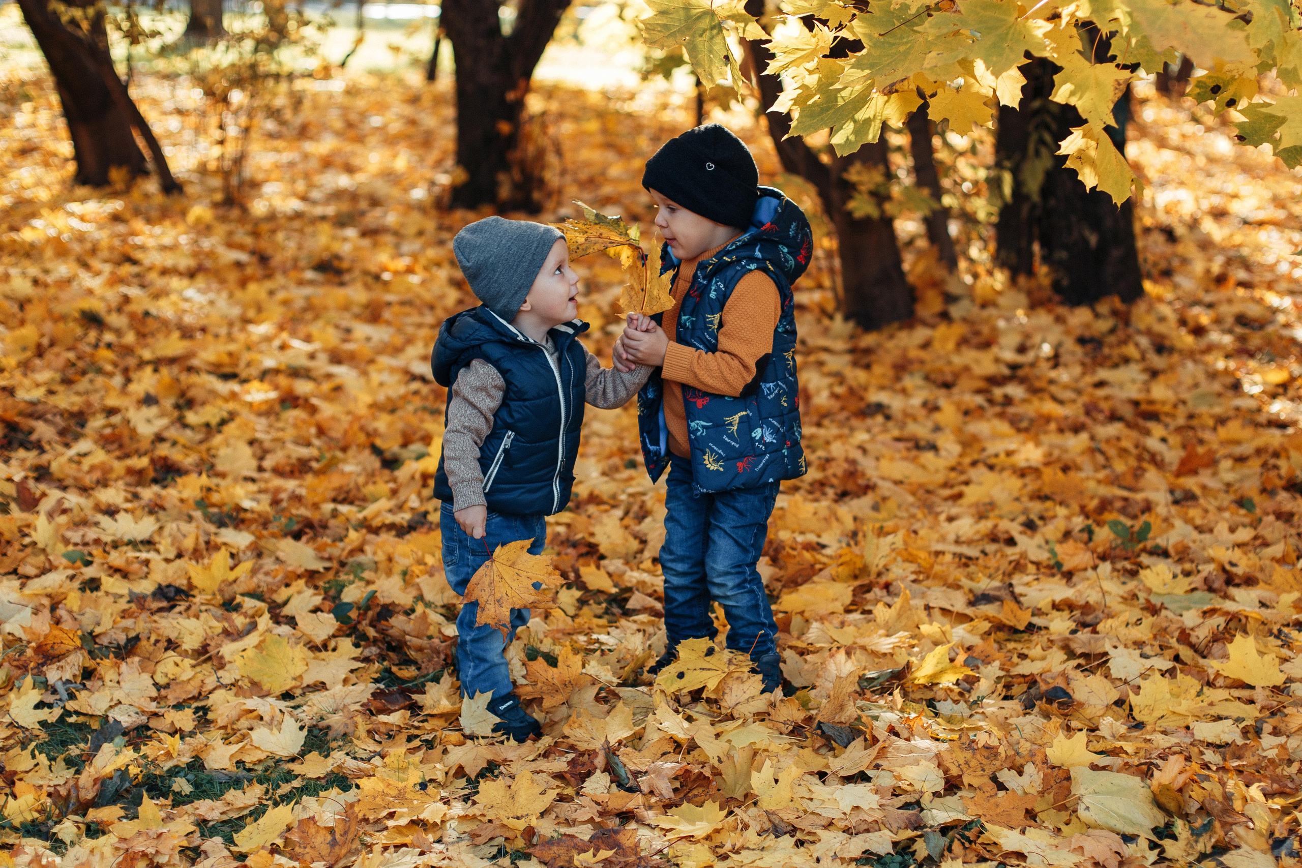 Осенняя прогулка. Семейный фотограф в Москве. Дарья Долгих