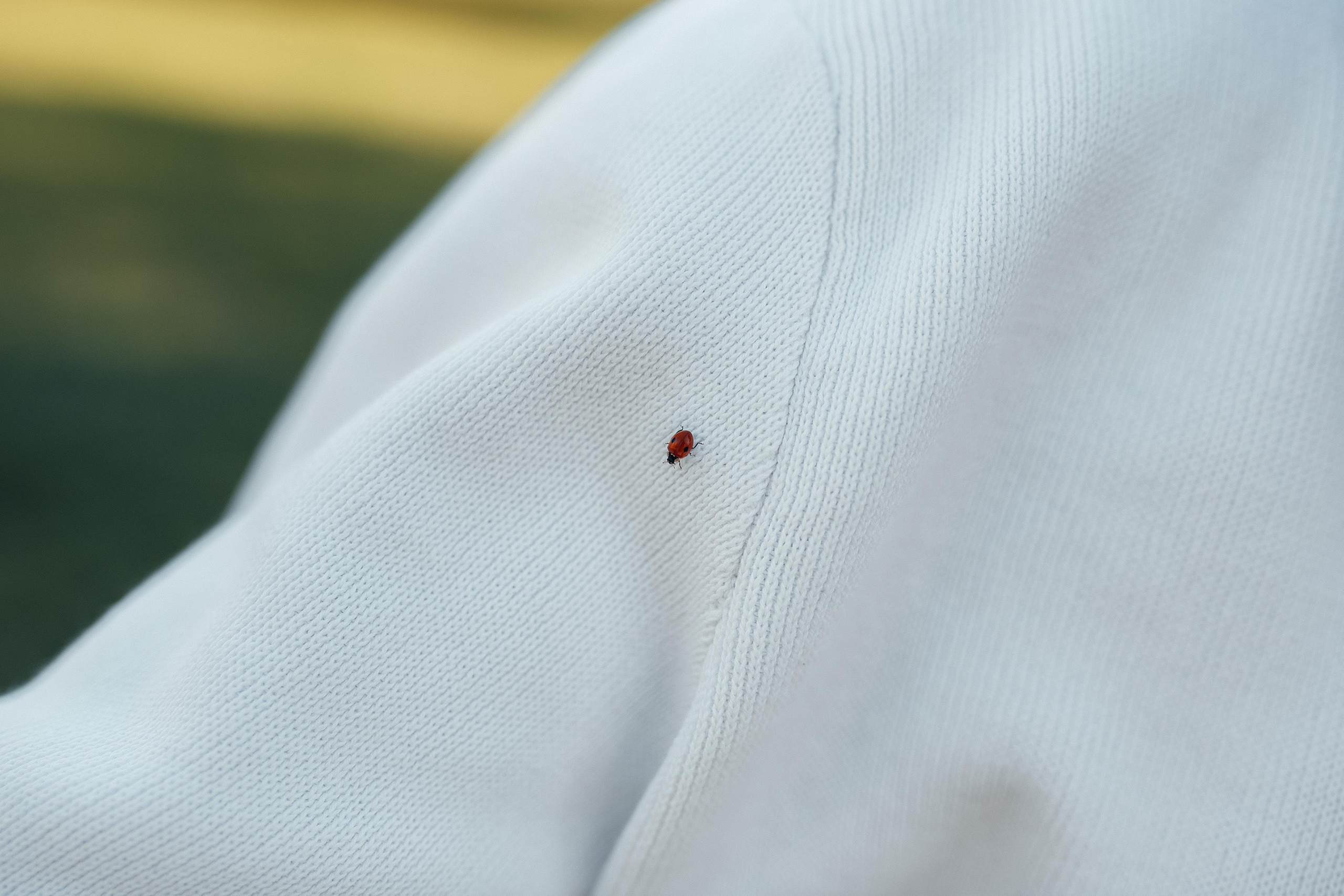 Листопад. Семейный фотограф в Москве. Дарья Долгих