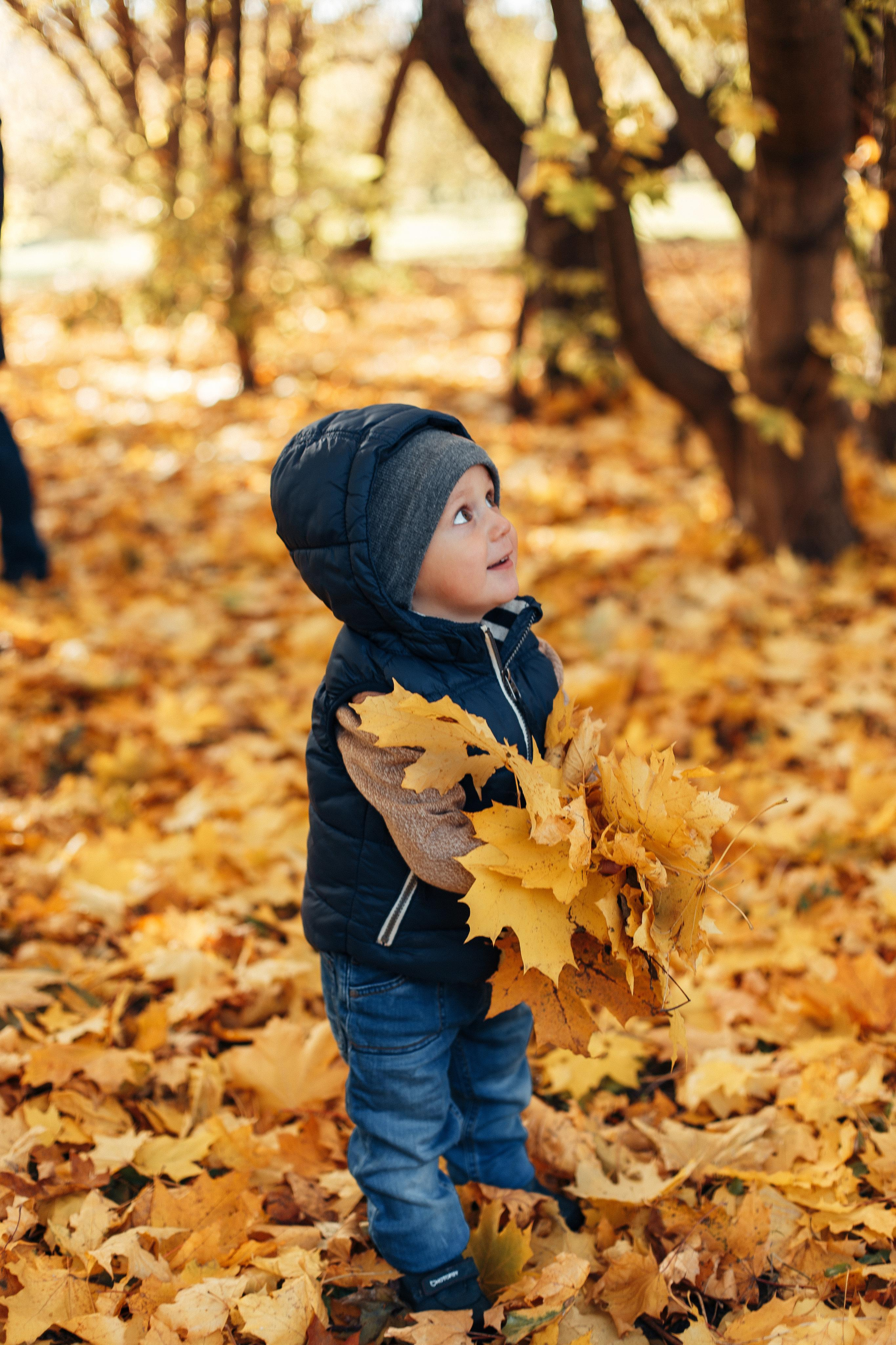 Осенняя прогулка. Семейный фотограф в Москве. Дарья Долгих