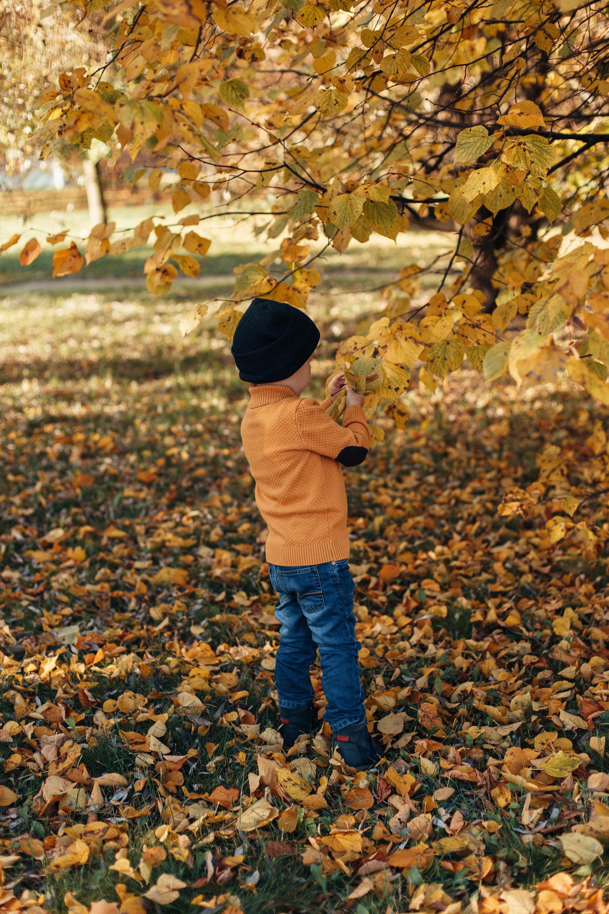 Осенняя прогулка. Семейный фотограф в Москве. Дарья Долгих