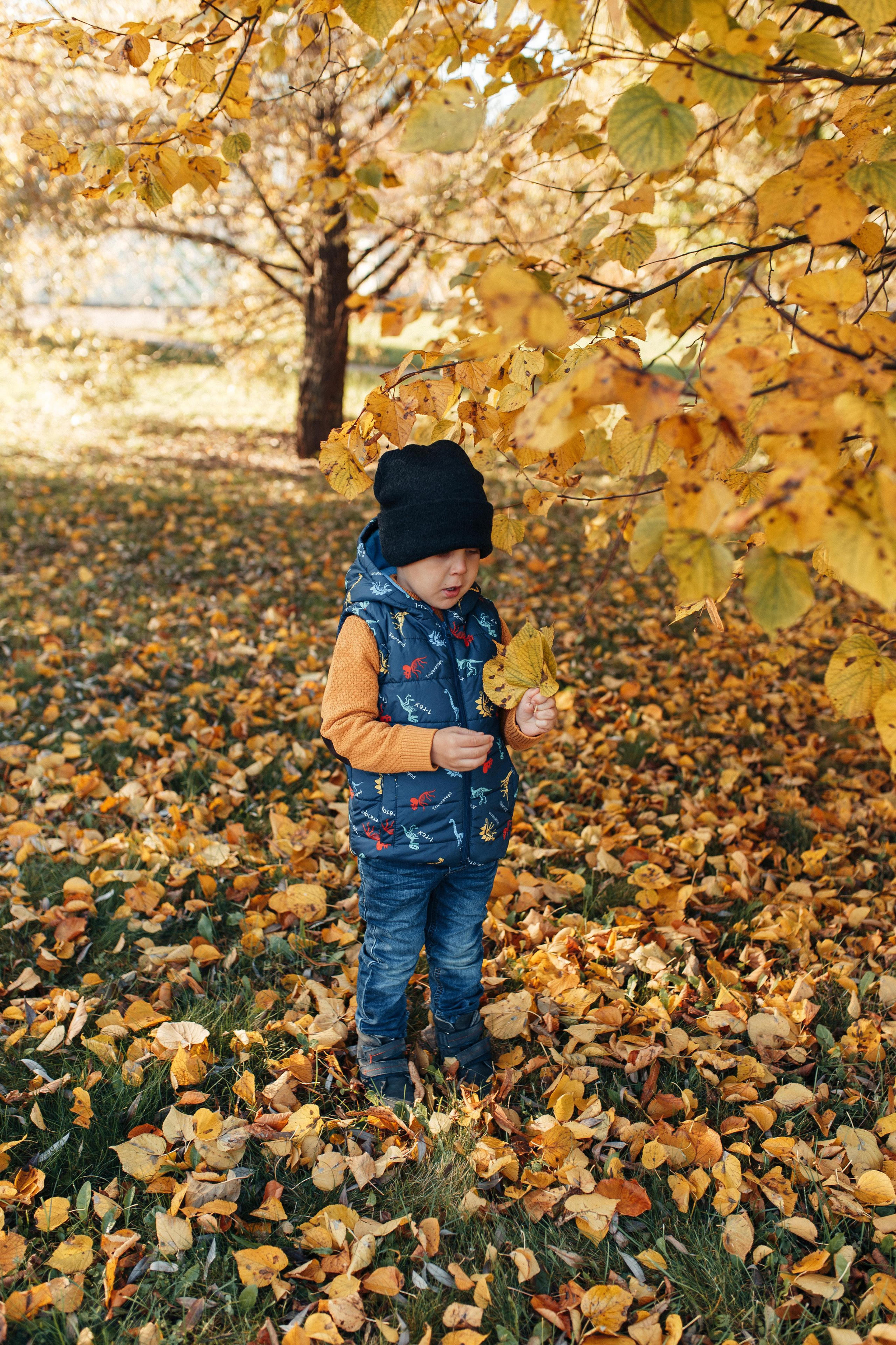 Осенняя прогулка. Семейный фотограф в Москве. Дарья Долгих