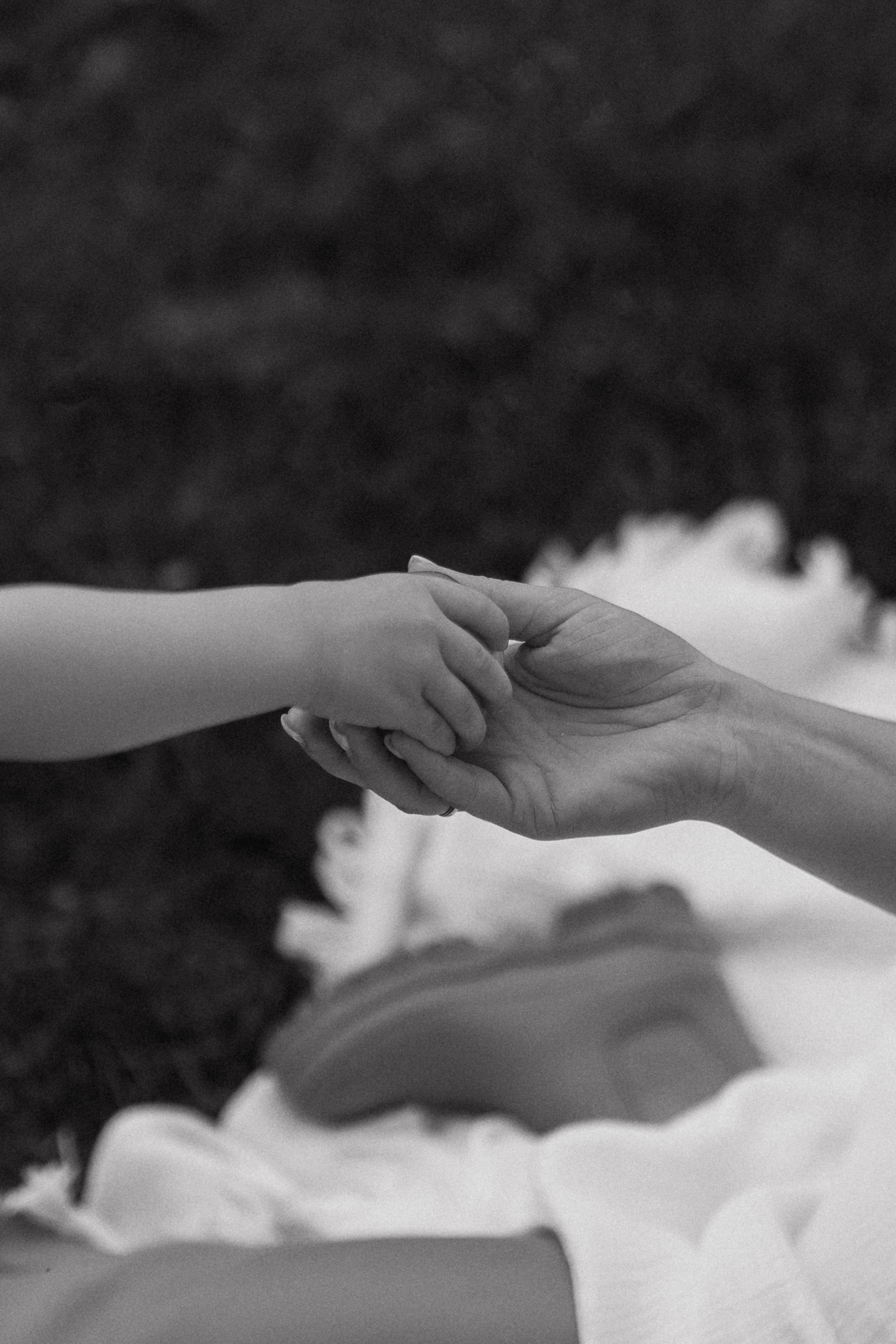 Настя и София. Главная