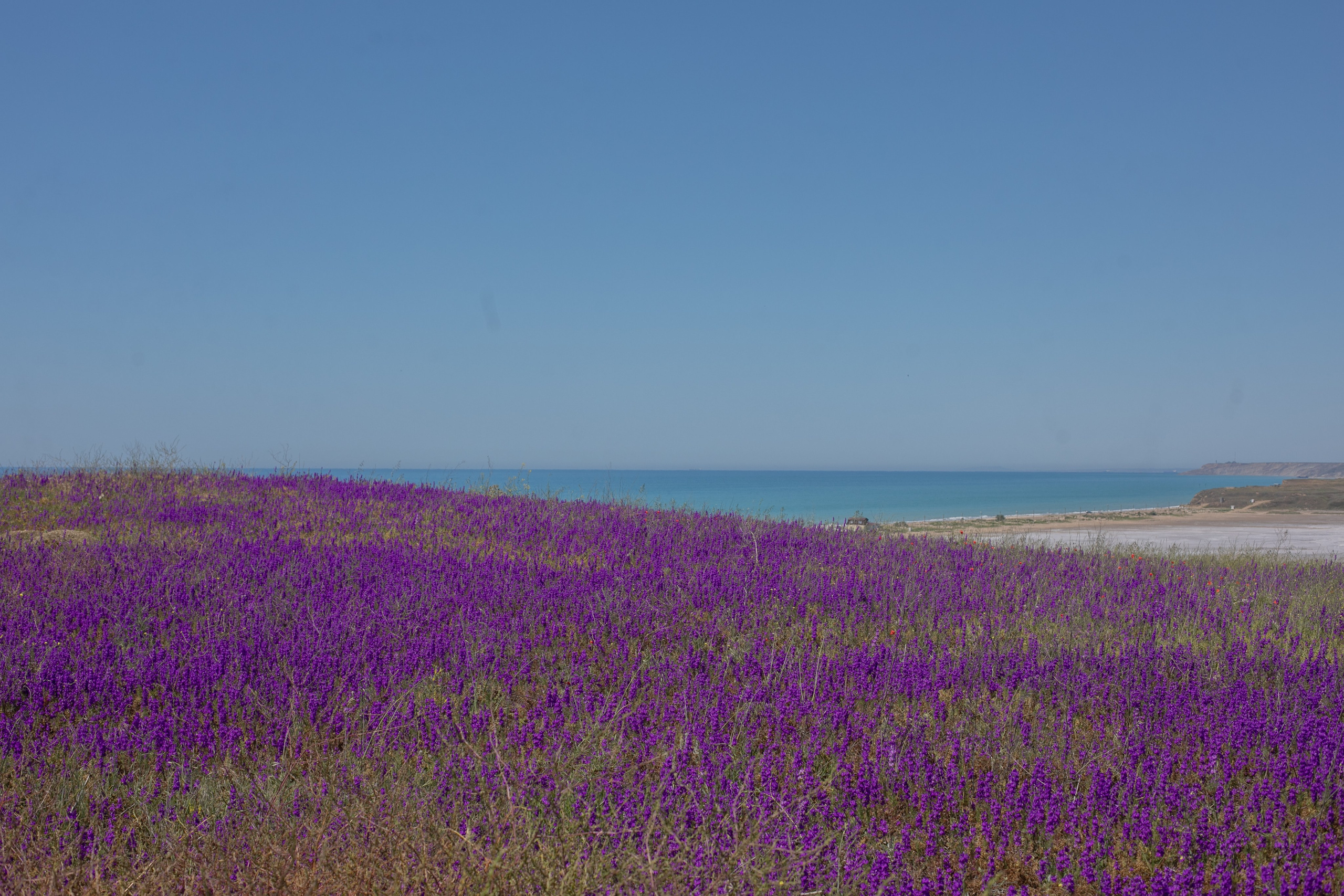 Горы. Репортажный и постановочный Наталья Санникова