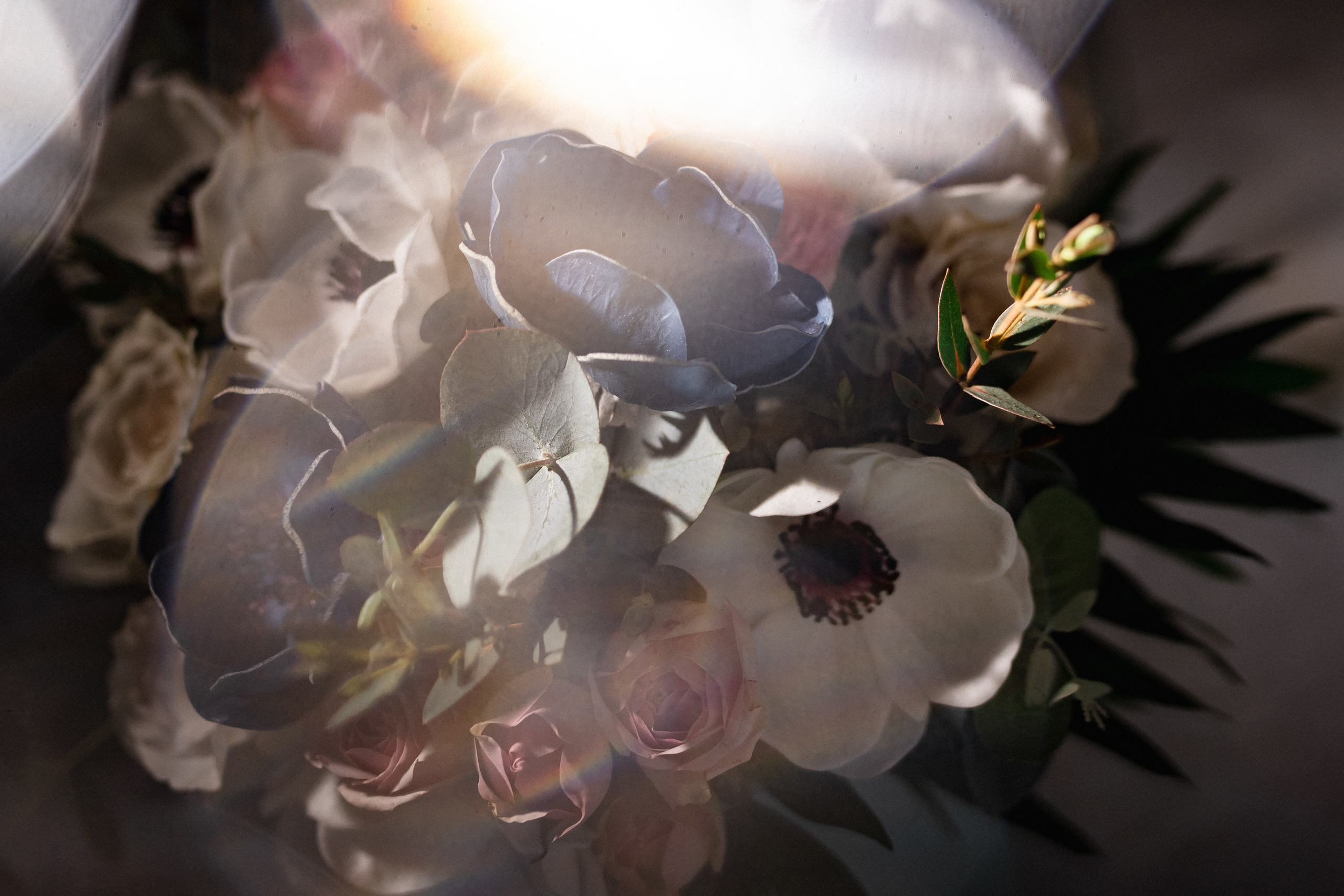 Иван и Светлана. Сергей Богомолов. Свадебный и семейный фотограф