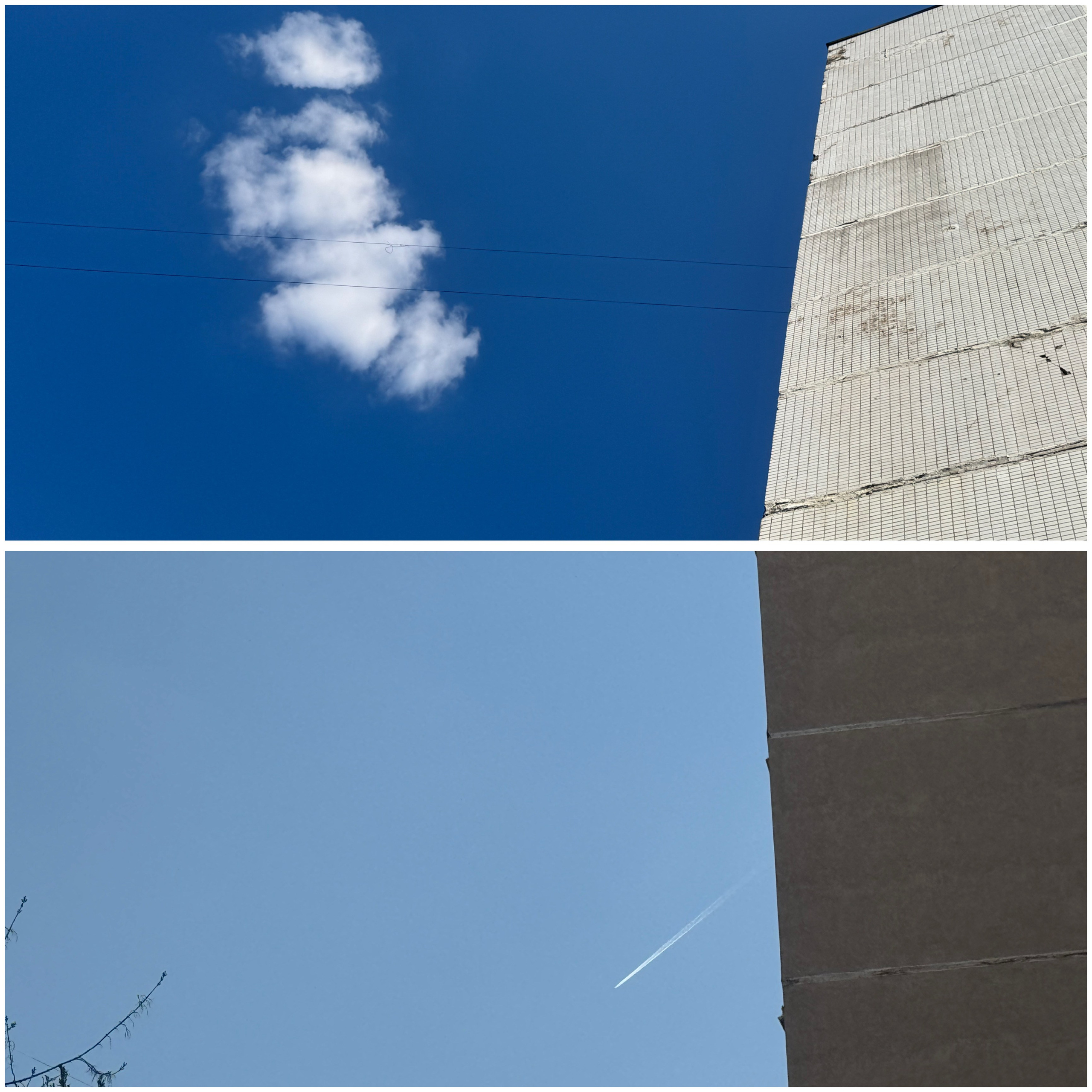 Коллажи. Свадебный фотограф в Москве Сафонова Анна