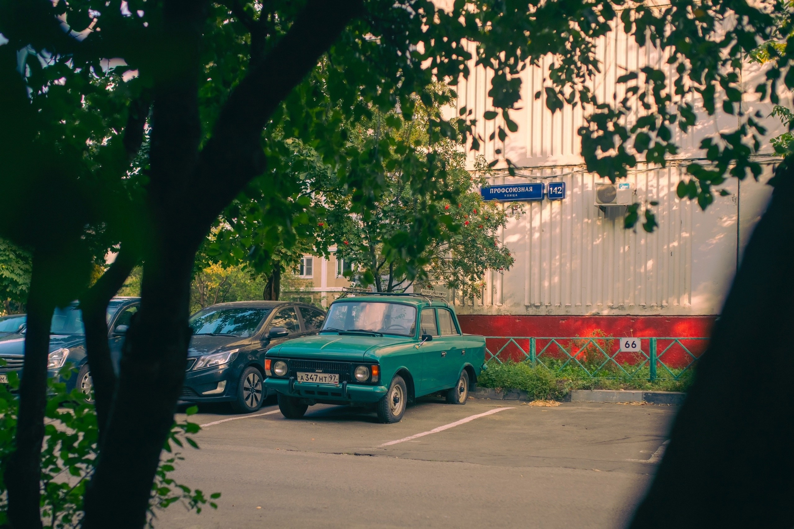 Цветные фотографии. Фотографии Лены Соколовой