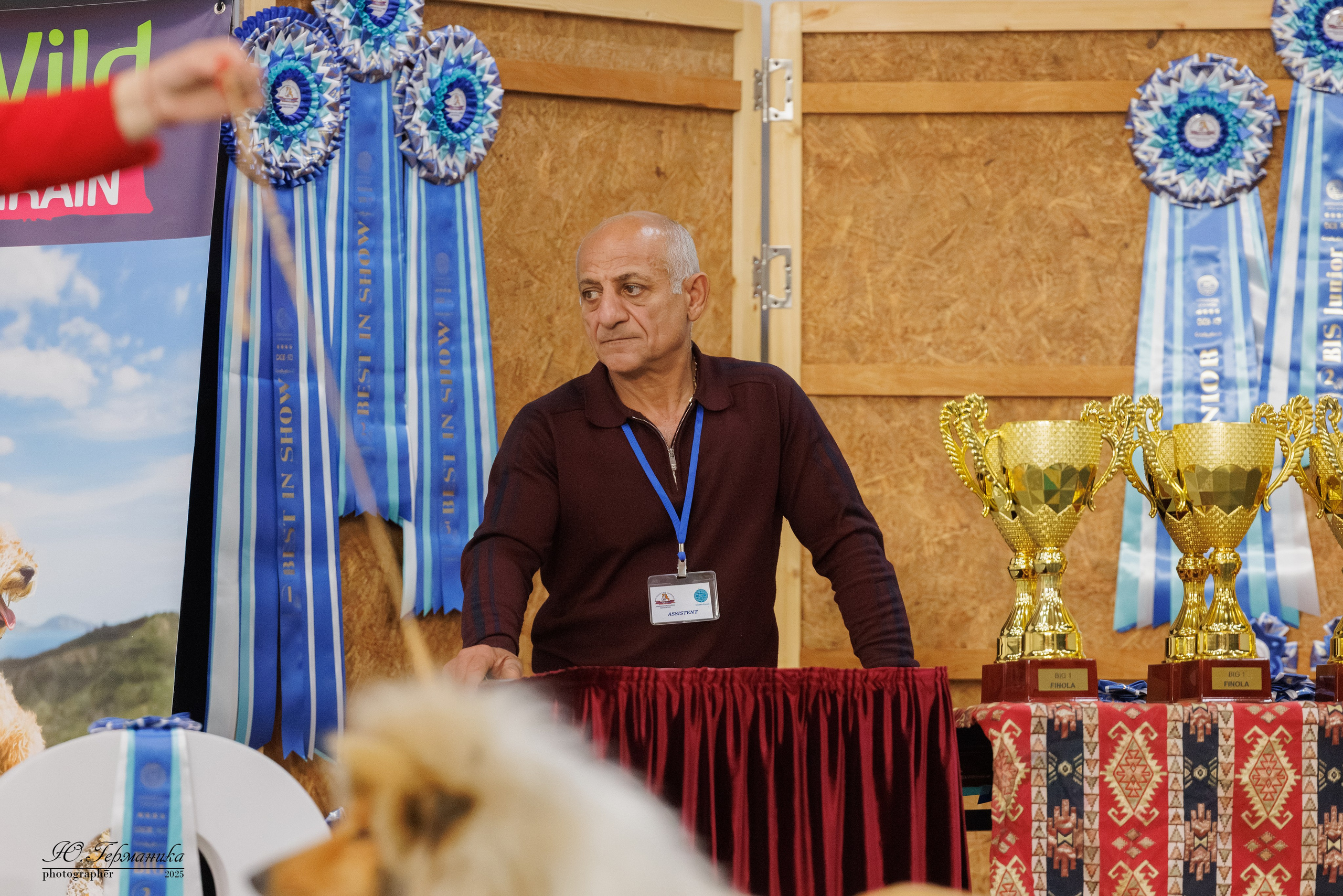 Ереван 2х CACIB 29-30.04.2025. Фотограф-анималист Юлия Германика