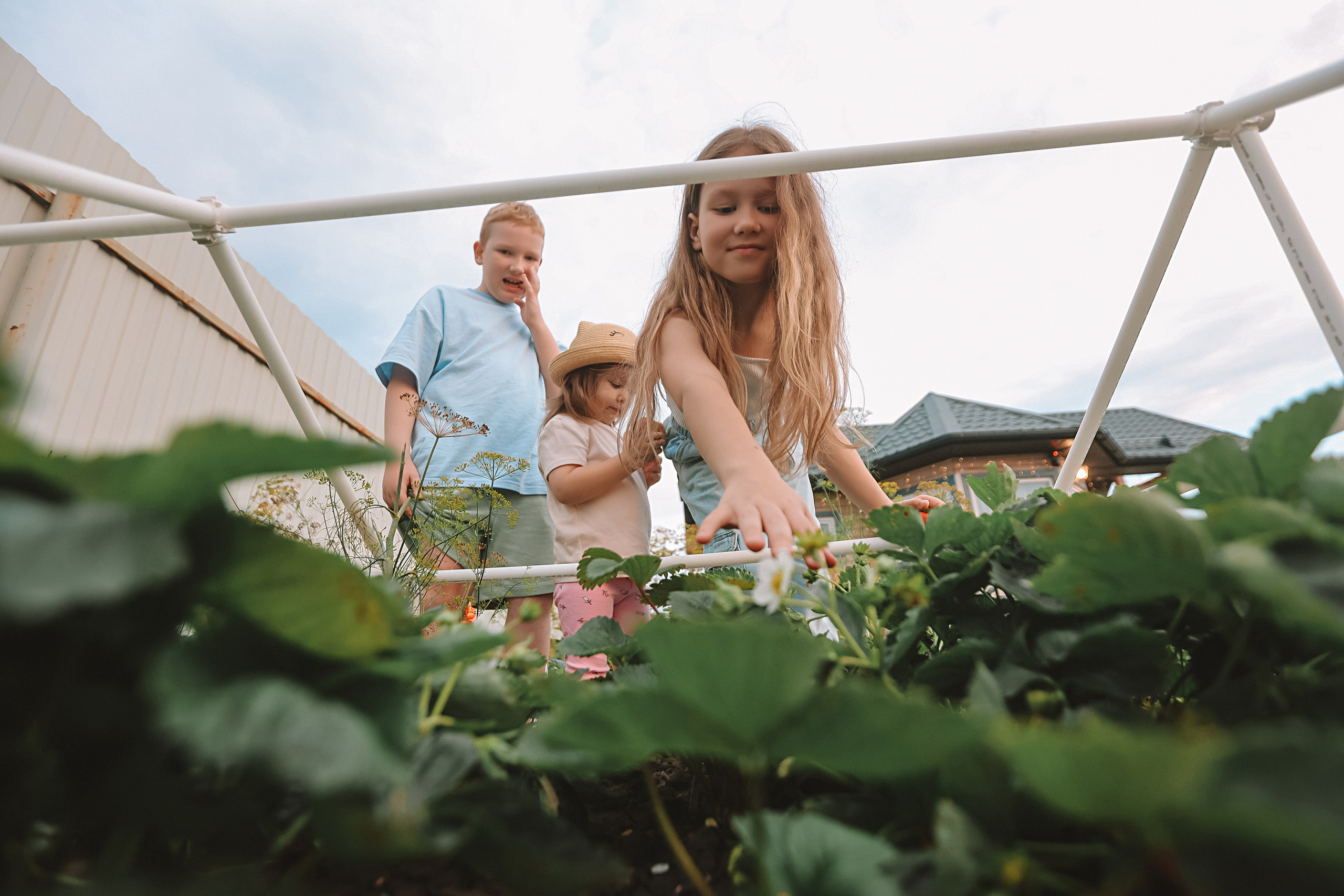 Дачная. Семейный фотограф Тюмень, фотограф на роды Салмина Мария