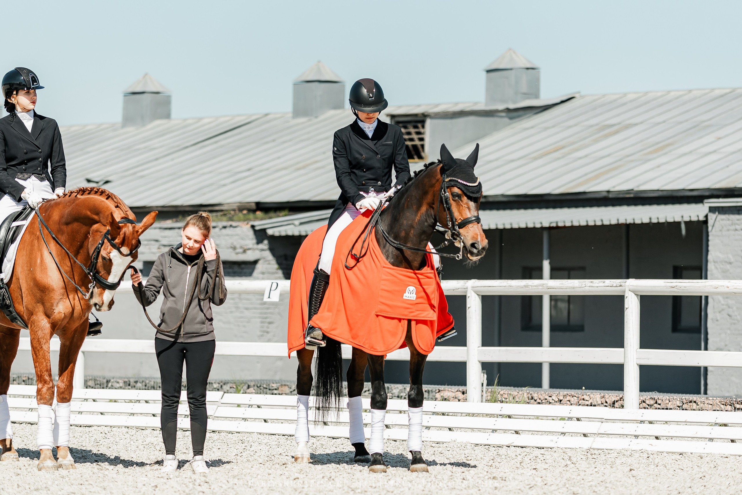 РЕПОРТАЖ МКК ВОЛЬТ «LA TULIPS». Конный фотограф Куракина Дарья • Фотосессии с лошадьми