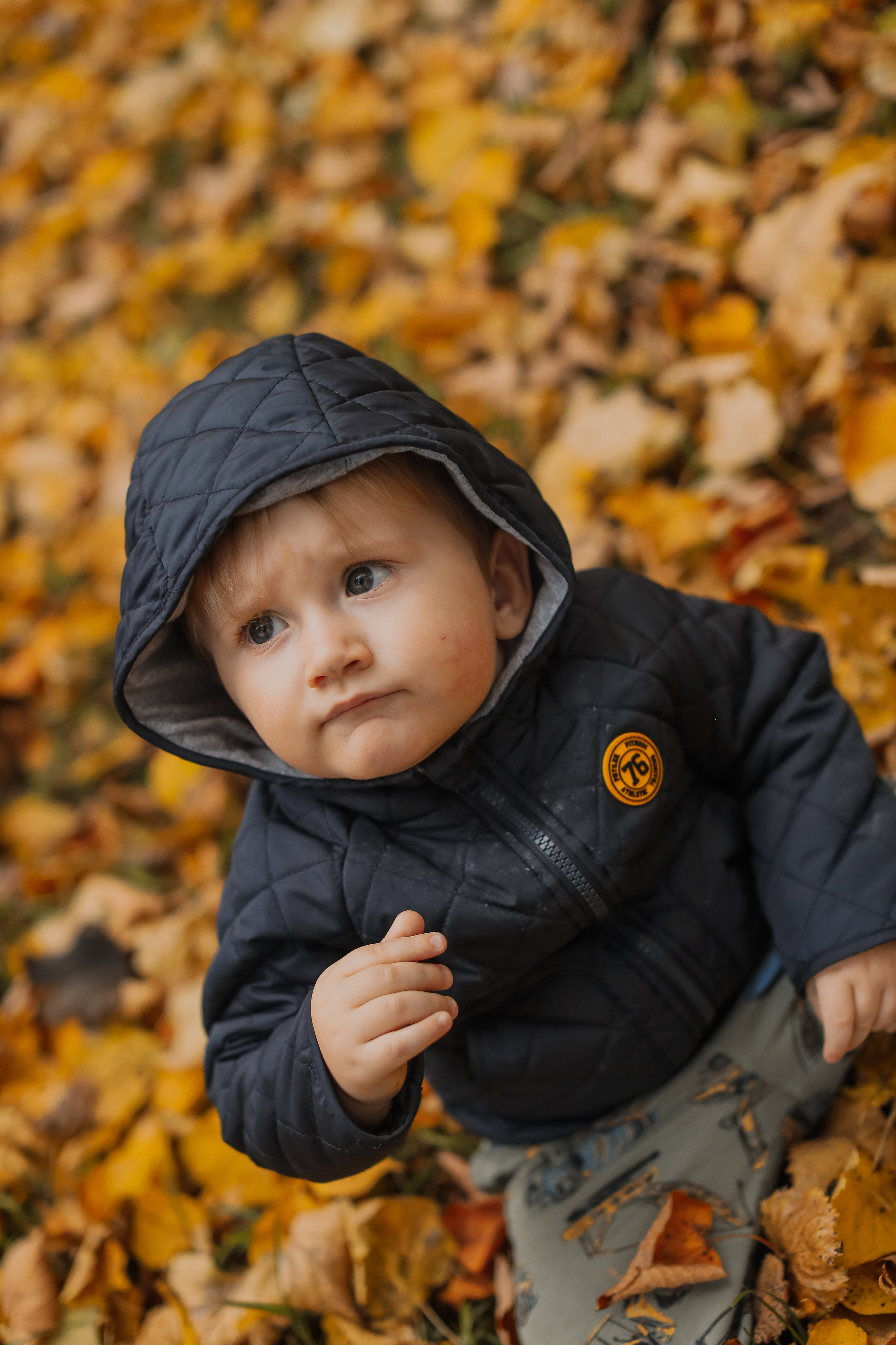 Федор и осень. Фотограф Анастасия Пинчук