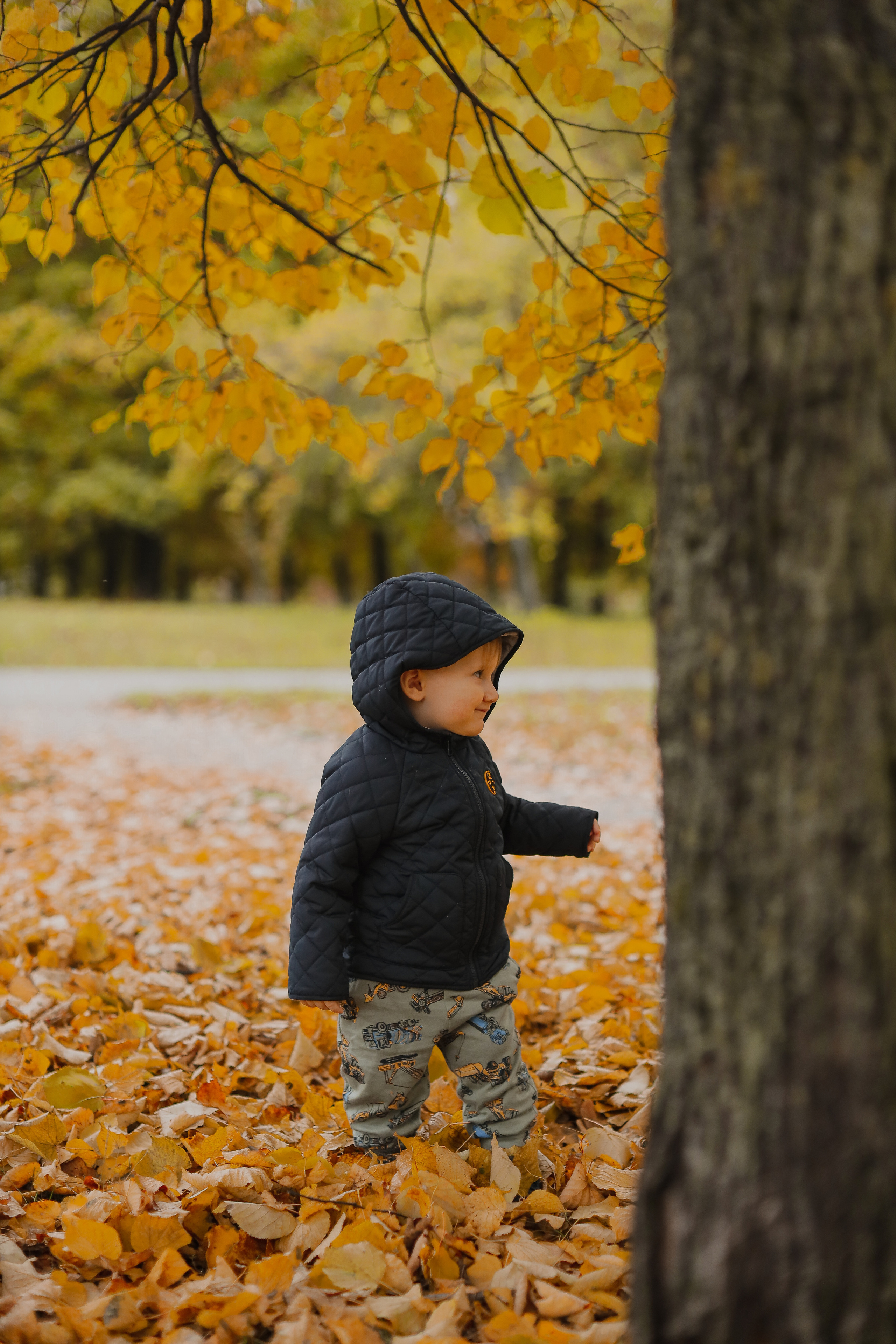 Федор и осень. Фотограф Анастасия Пинчук