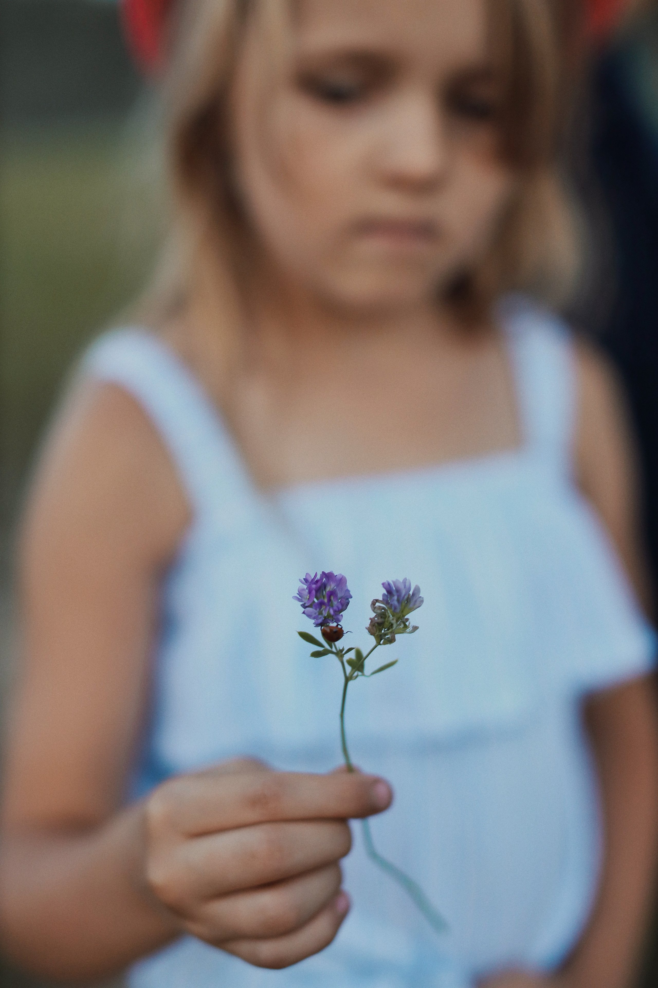 Одним летним вечером. Фотограф Анастасия Пинчук