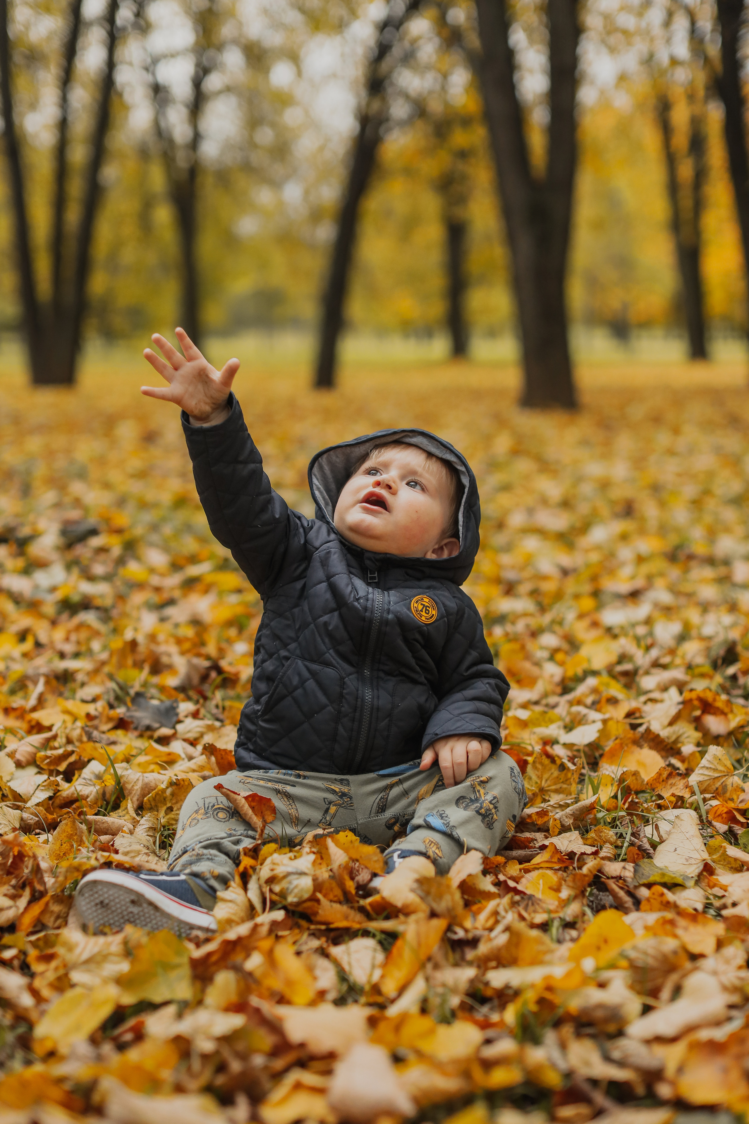 Федор и осень. Фотограф Анастасия Пинчук