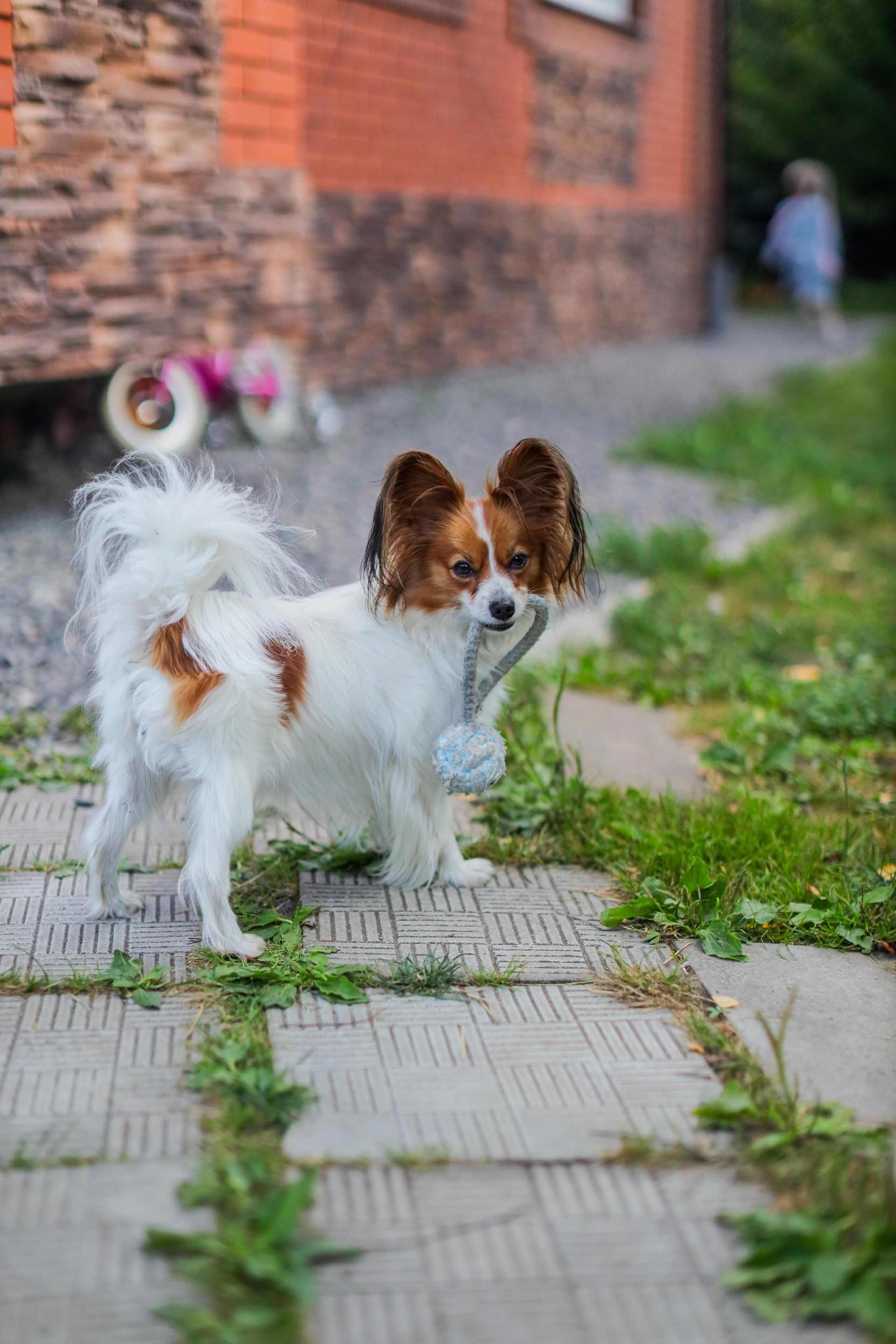 Феде 4. Фотограф Анастасия Пинчук