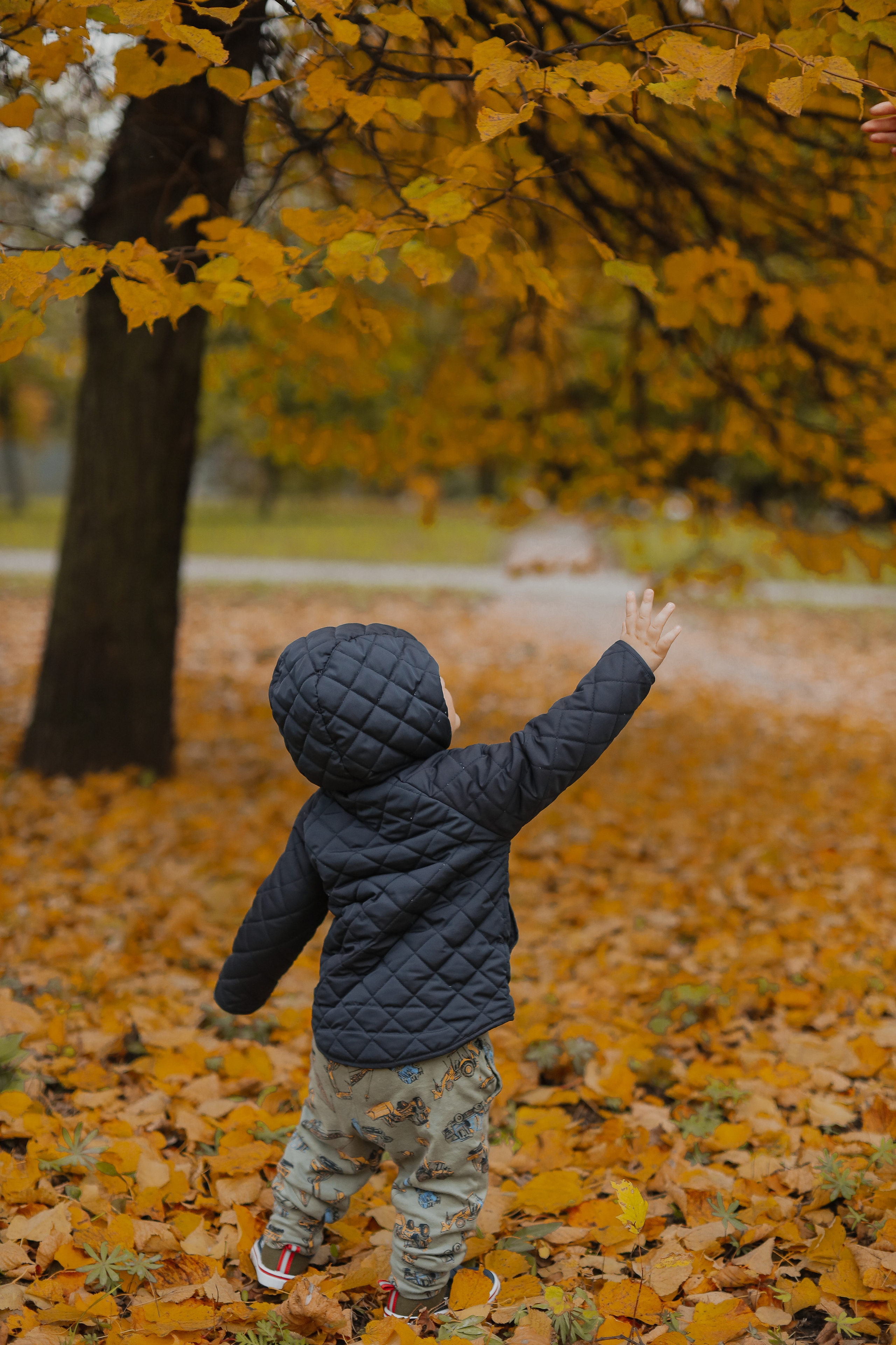 Федор и осень. Фотограф Анастасия Пинчук