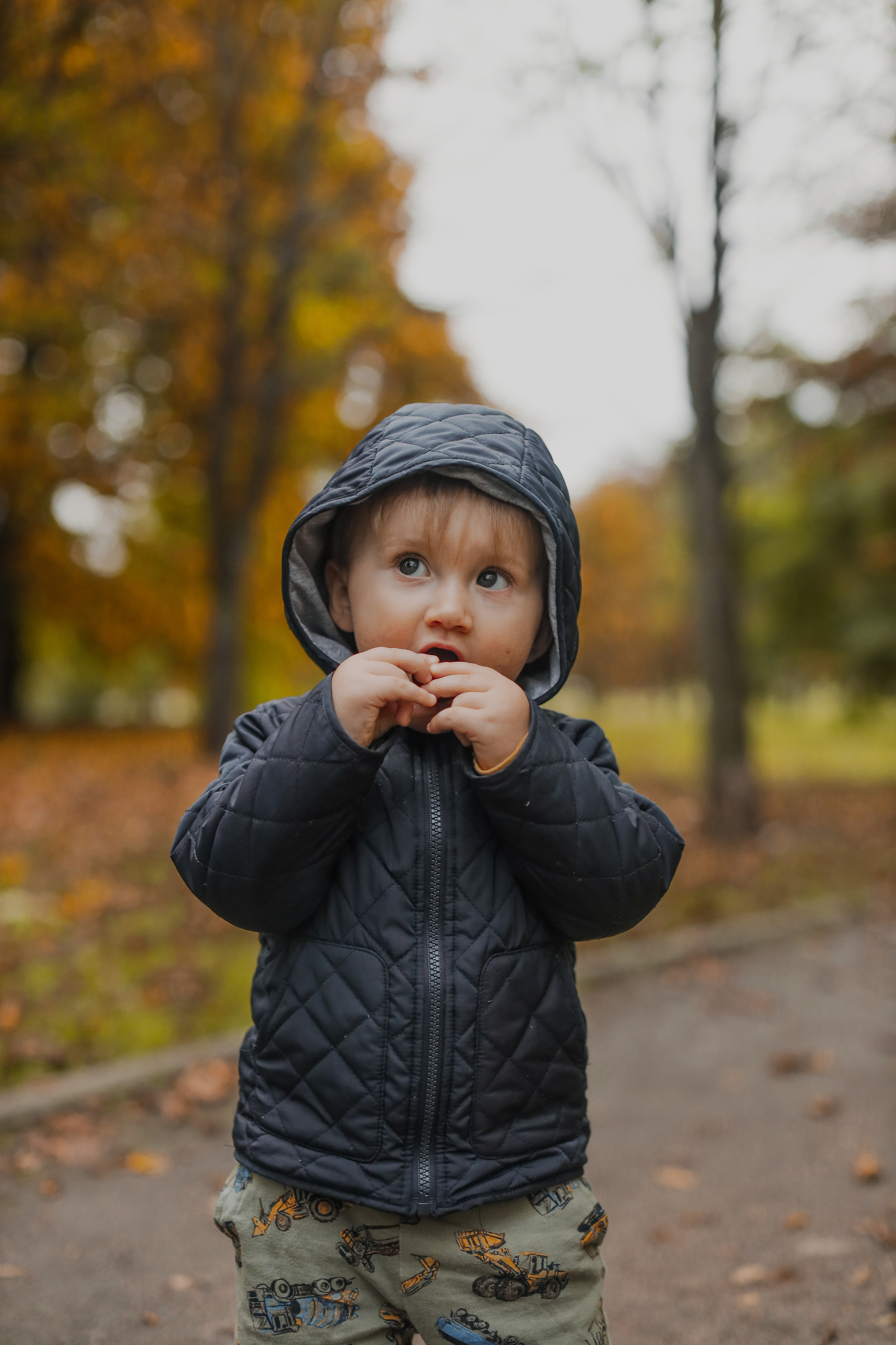 Федор и осень. Фотограф Анастасия Пинчук