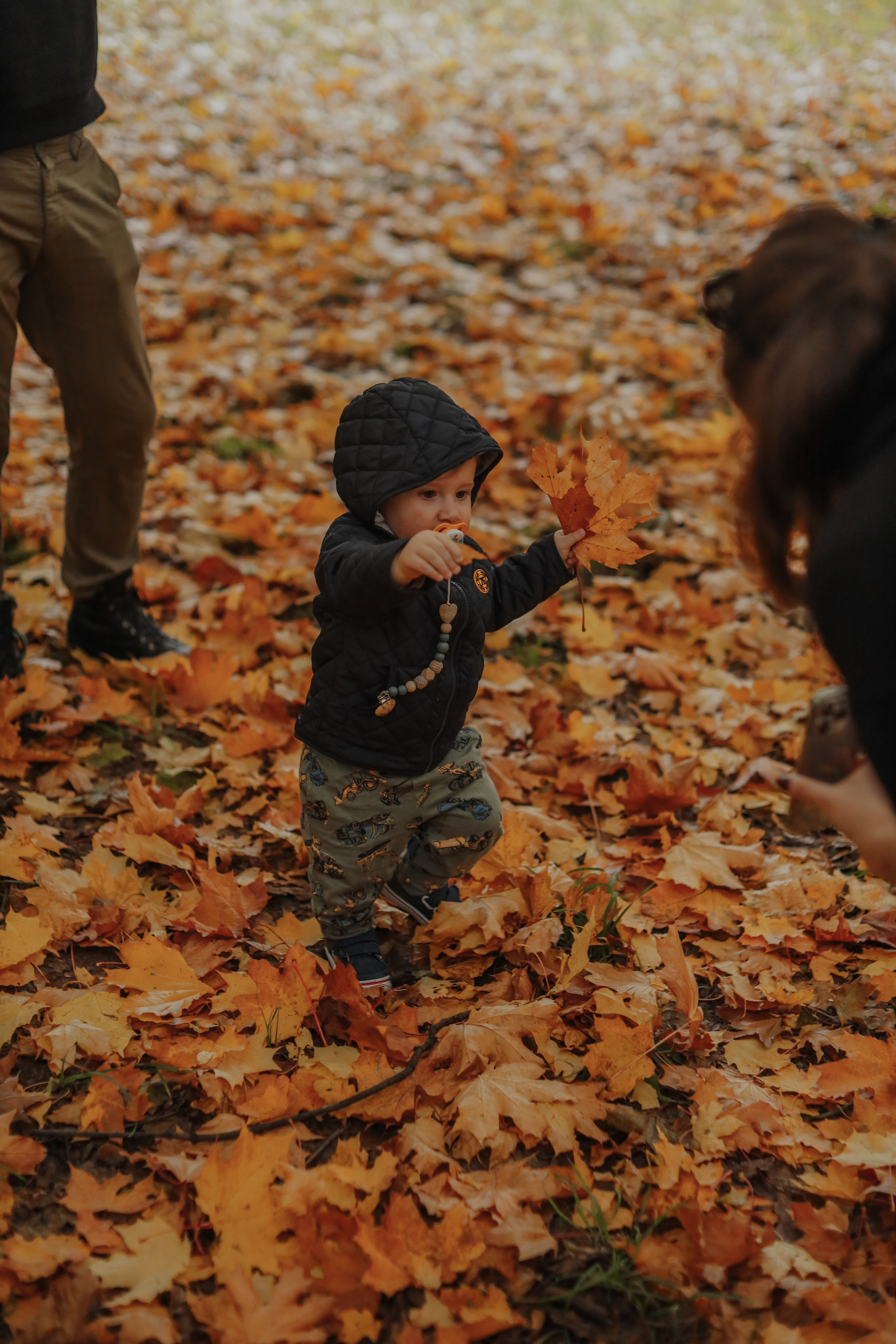Федор и осень. Фотограф Анастасия Пинчук