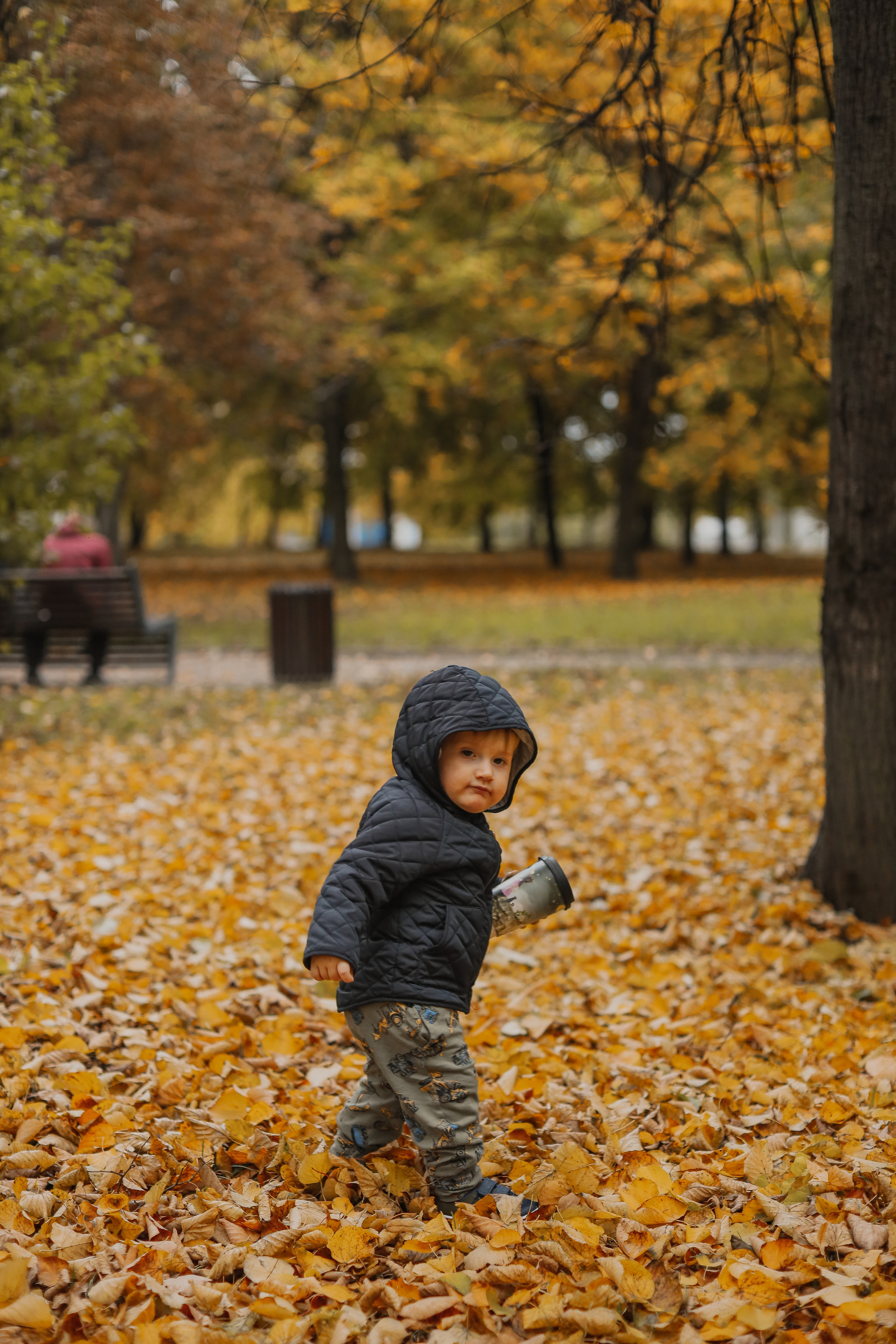 Федор и осень. Фотограф Анастасия Пинчук