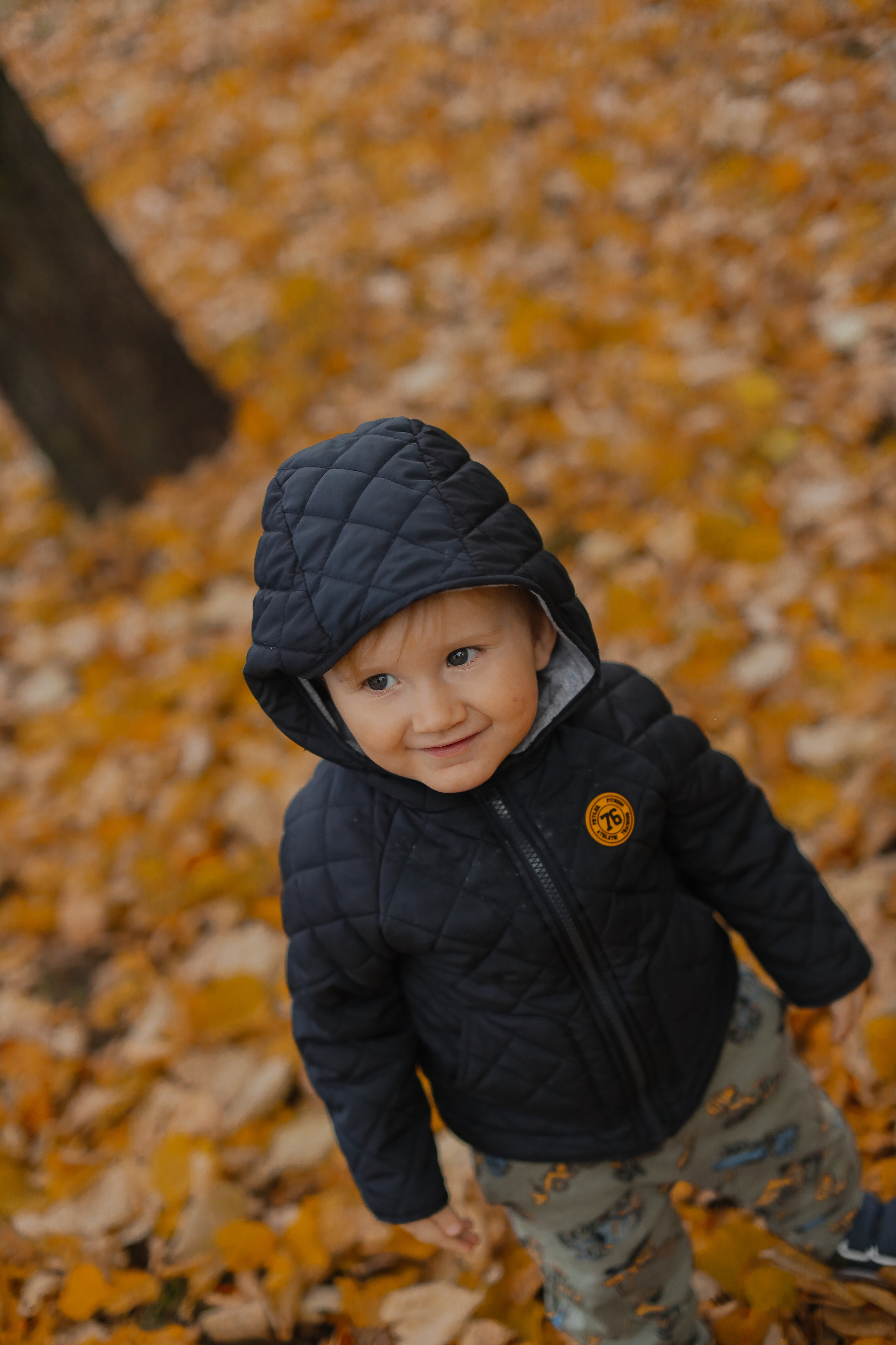 Федор и осень. Фотограф Анастасия Пинчук