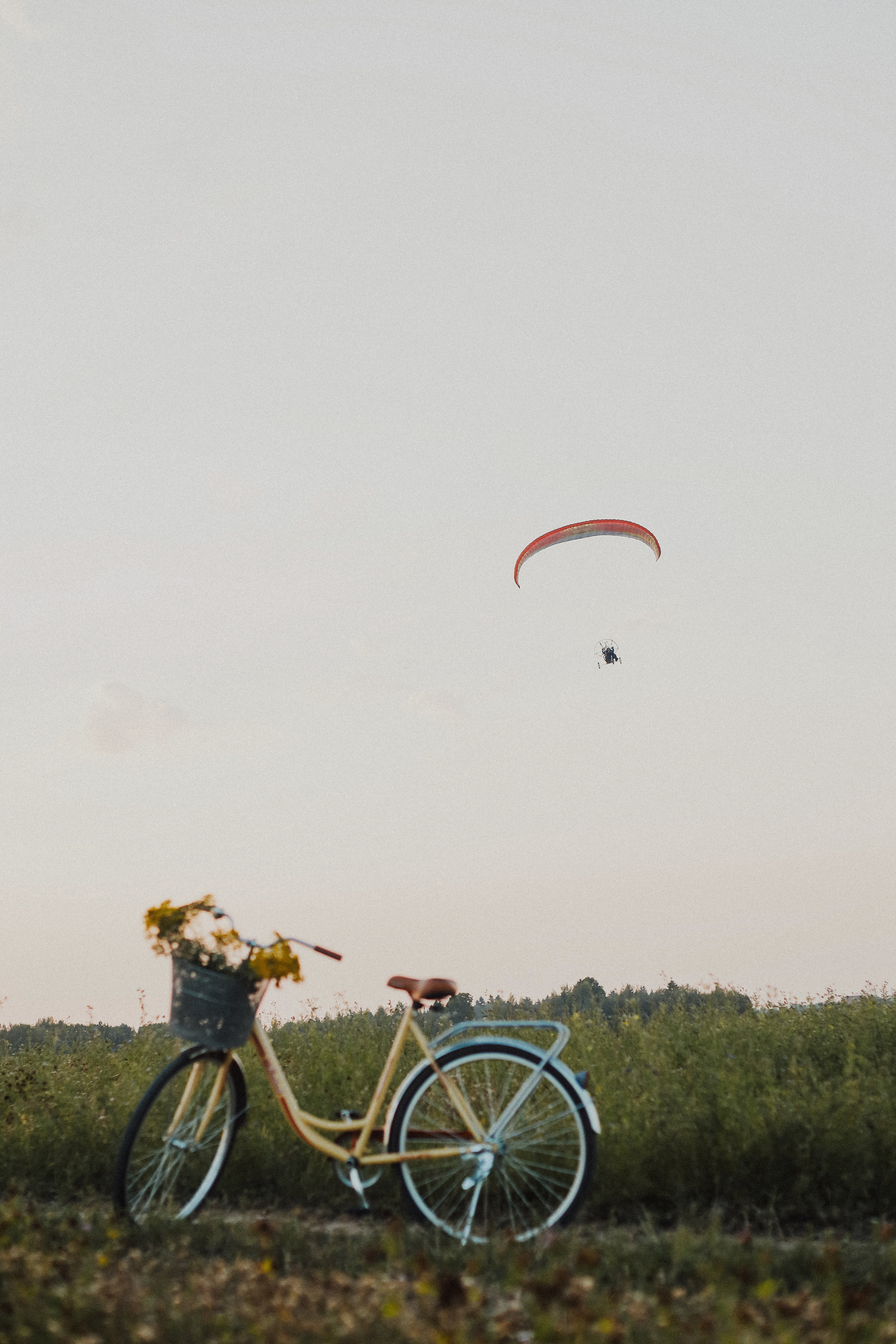 Одним летним вечером. Фотограф Анастасия Пинчук